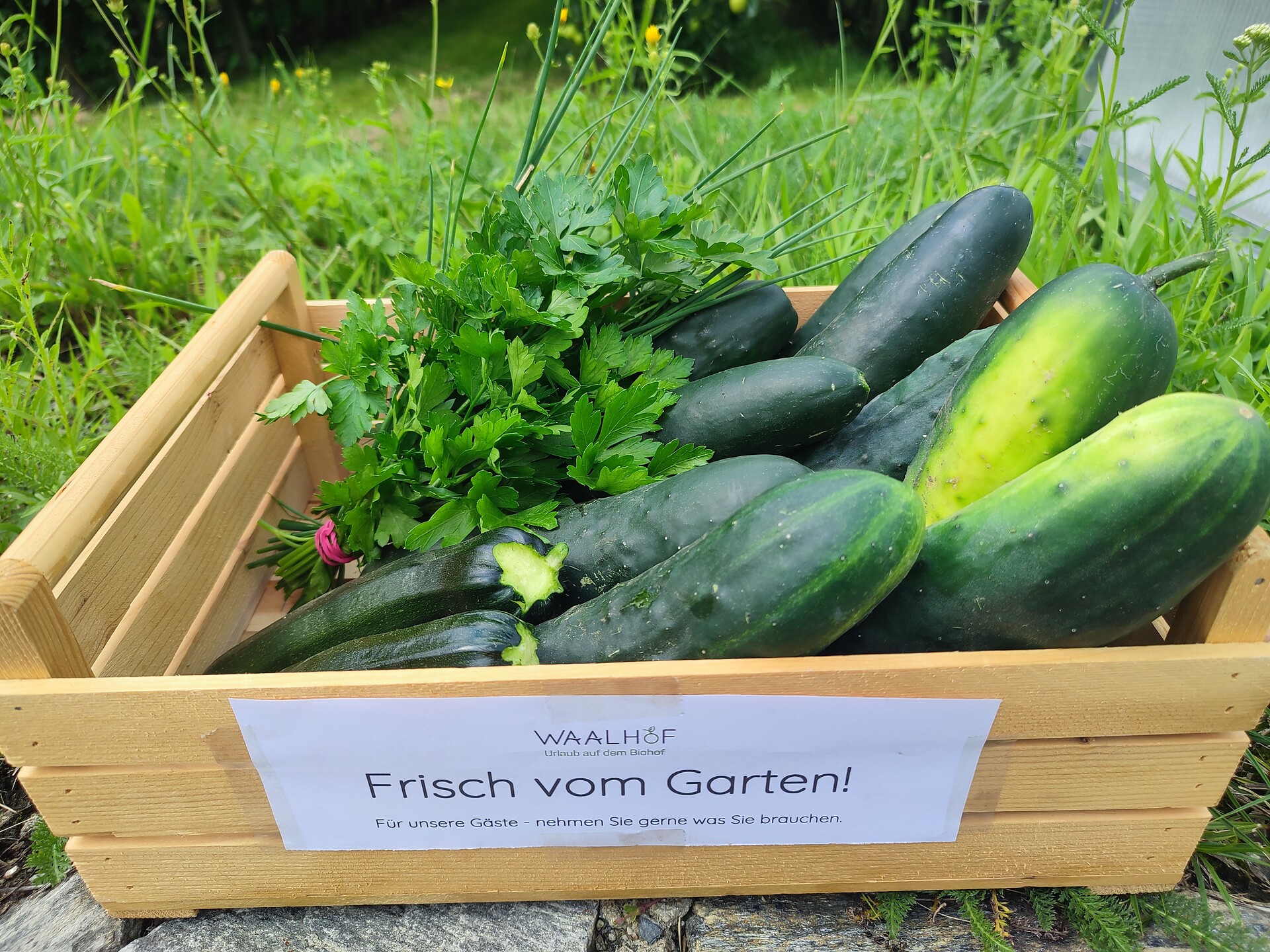 Frisch vom Garten