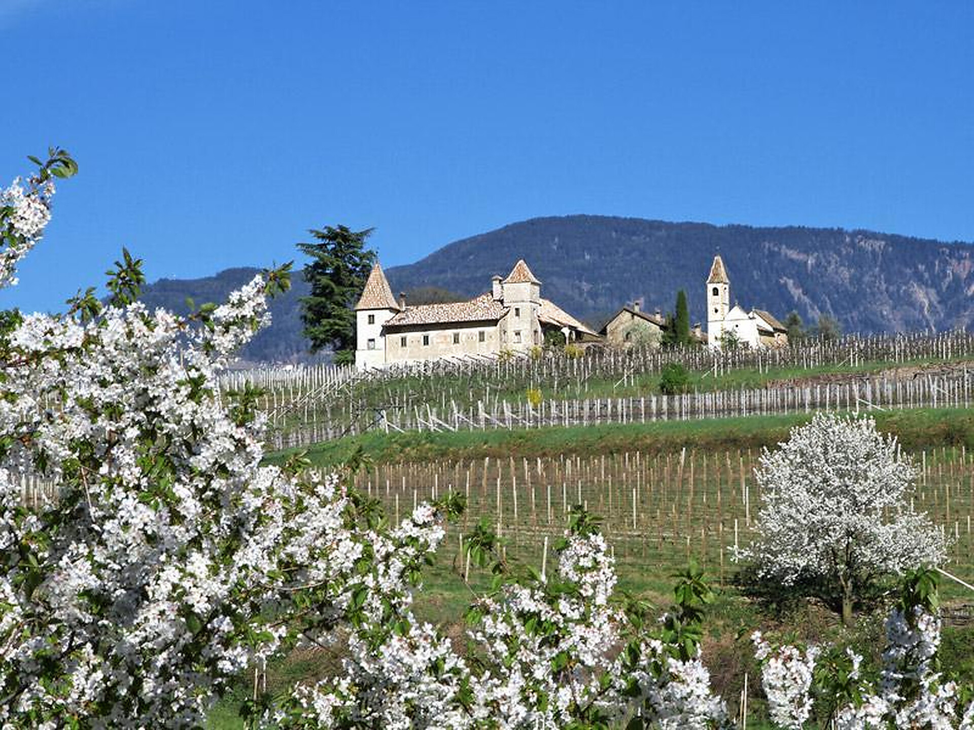 Weingut Ansitz Kreithof