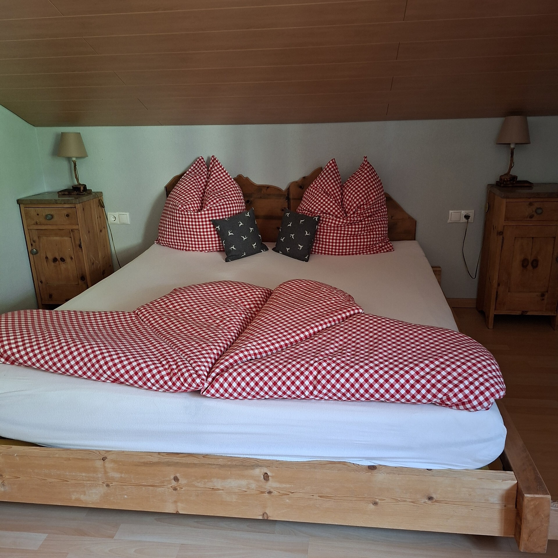 XXL Appartement Moarhof