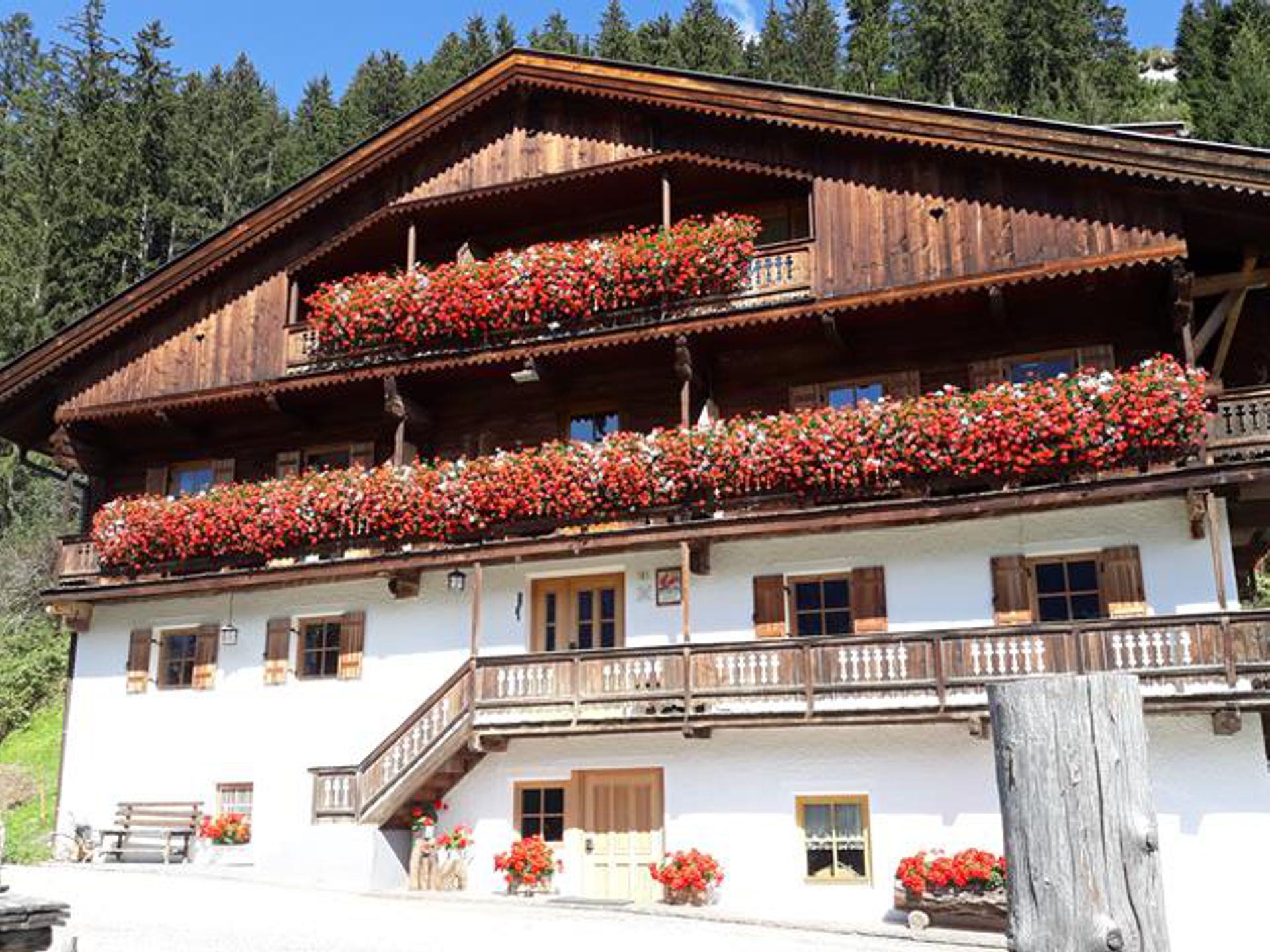 Zurtschnerhof Sexten/Sesto 1 suedtirol.info