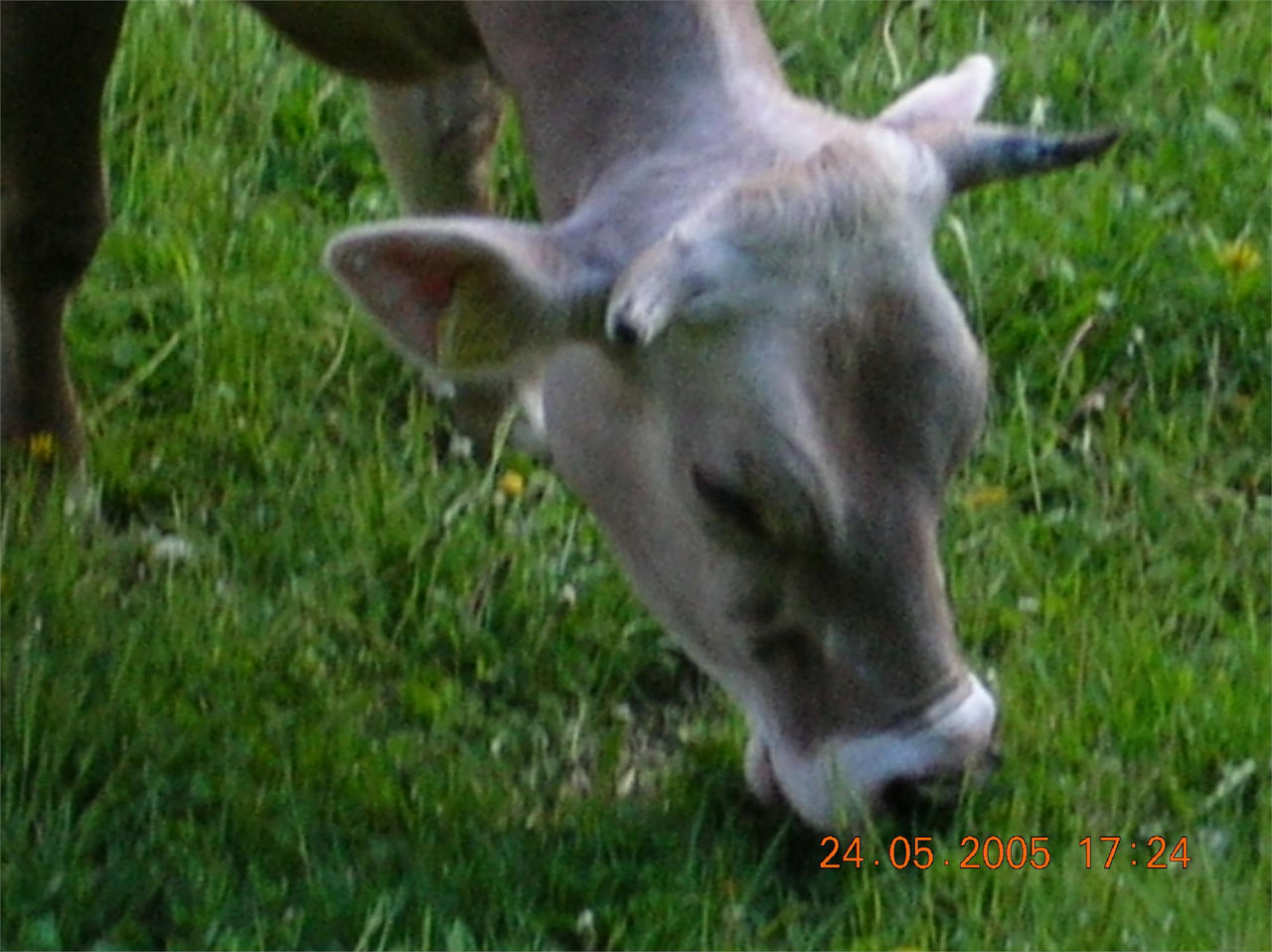 Slide 9