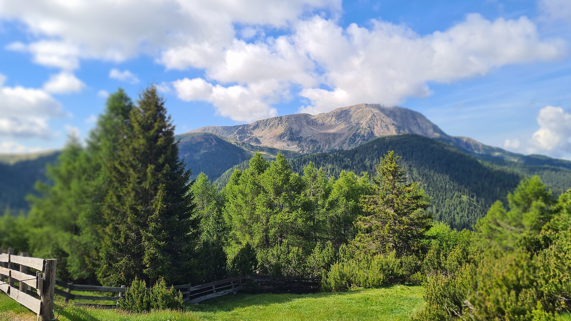 B&B Weisses Rössl - Bolzano/Bozen and environs - #5 - suedtirol.info