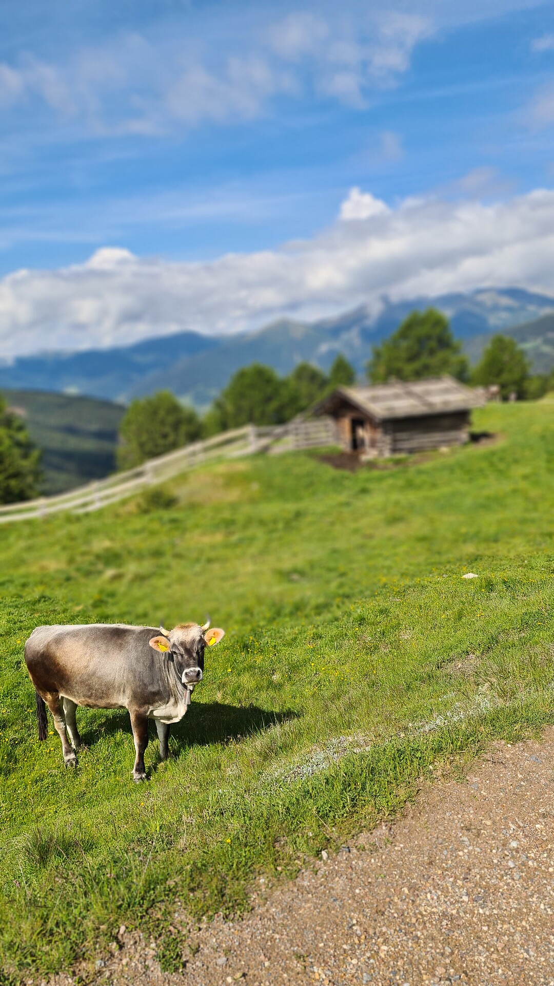 B&B Weisses Rössl - Bolzano/Bozen and environs - #18 - suedtirol.info