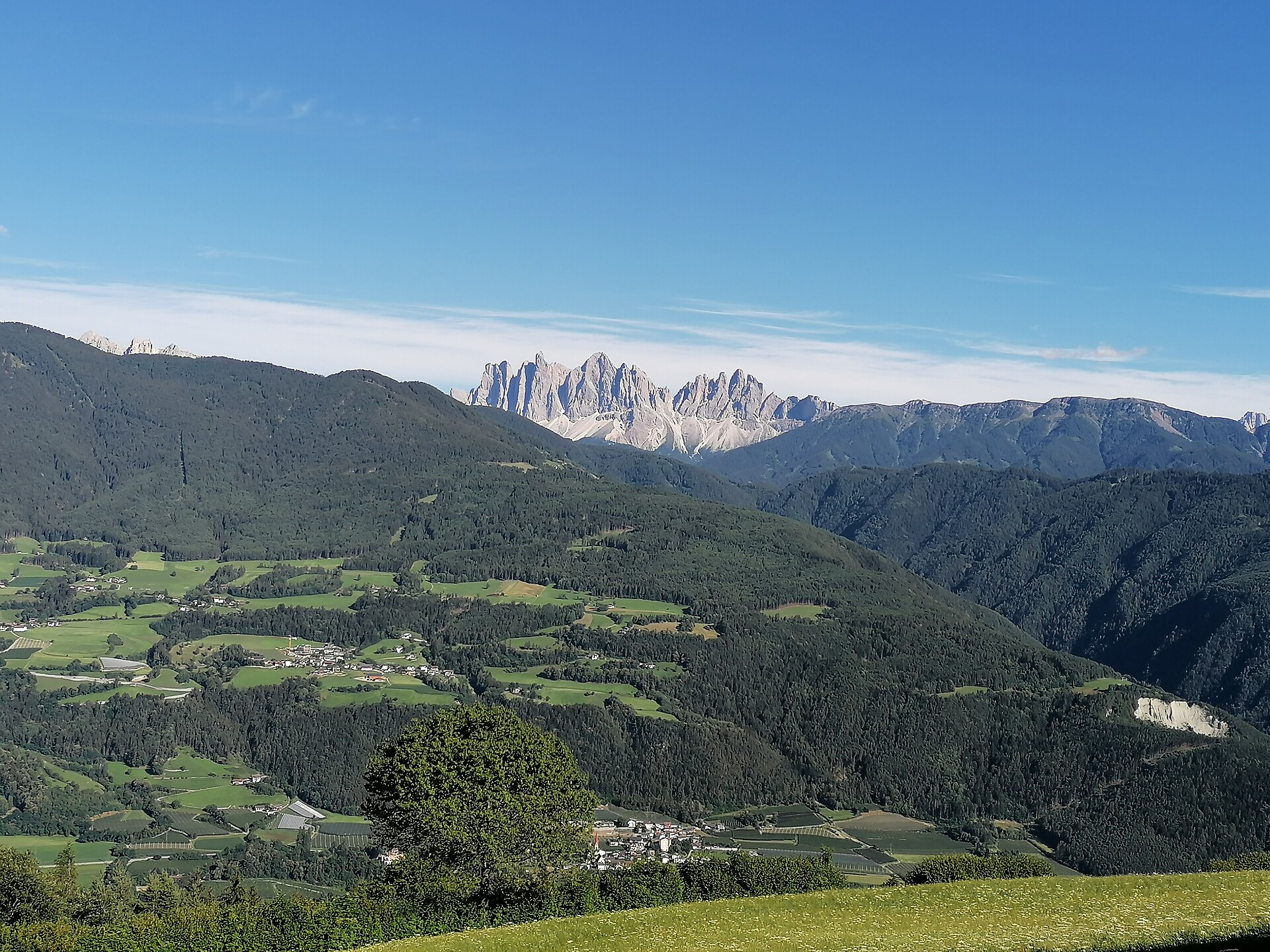 Geisler Spitzen