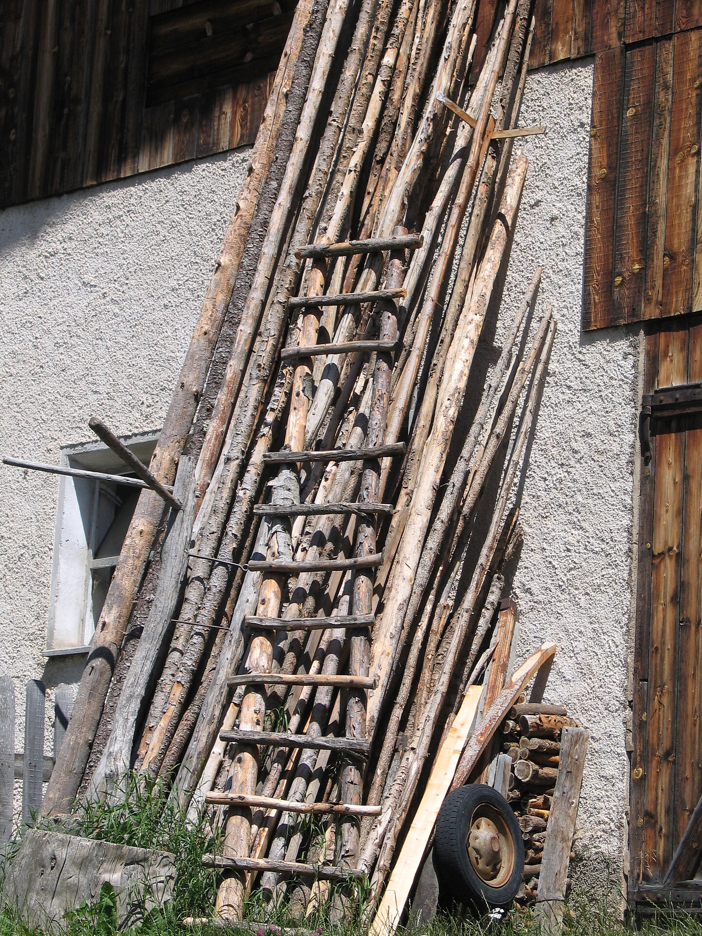 Holz