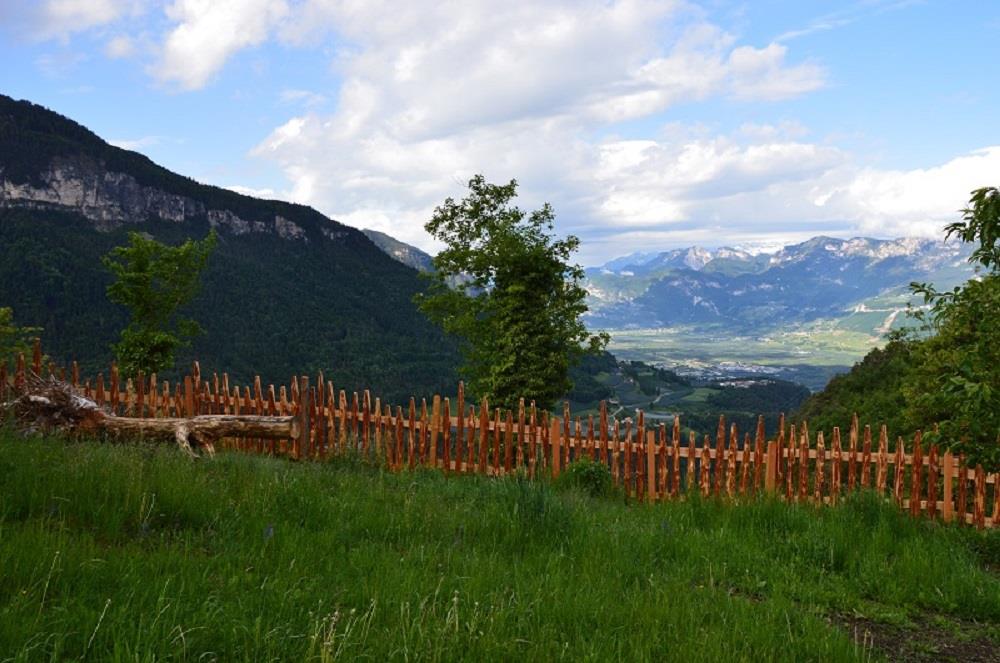 Affittacamere Koflhof Aldino 7 suedtirol.info