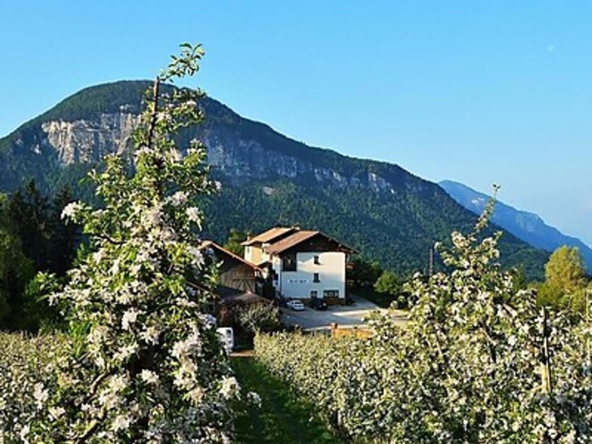 Affittacamere Koflhof -  - #2 - suedtirol.info