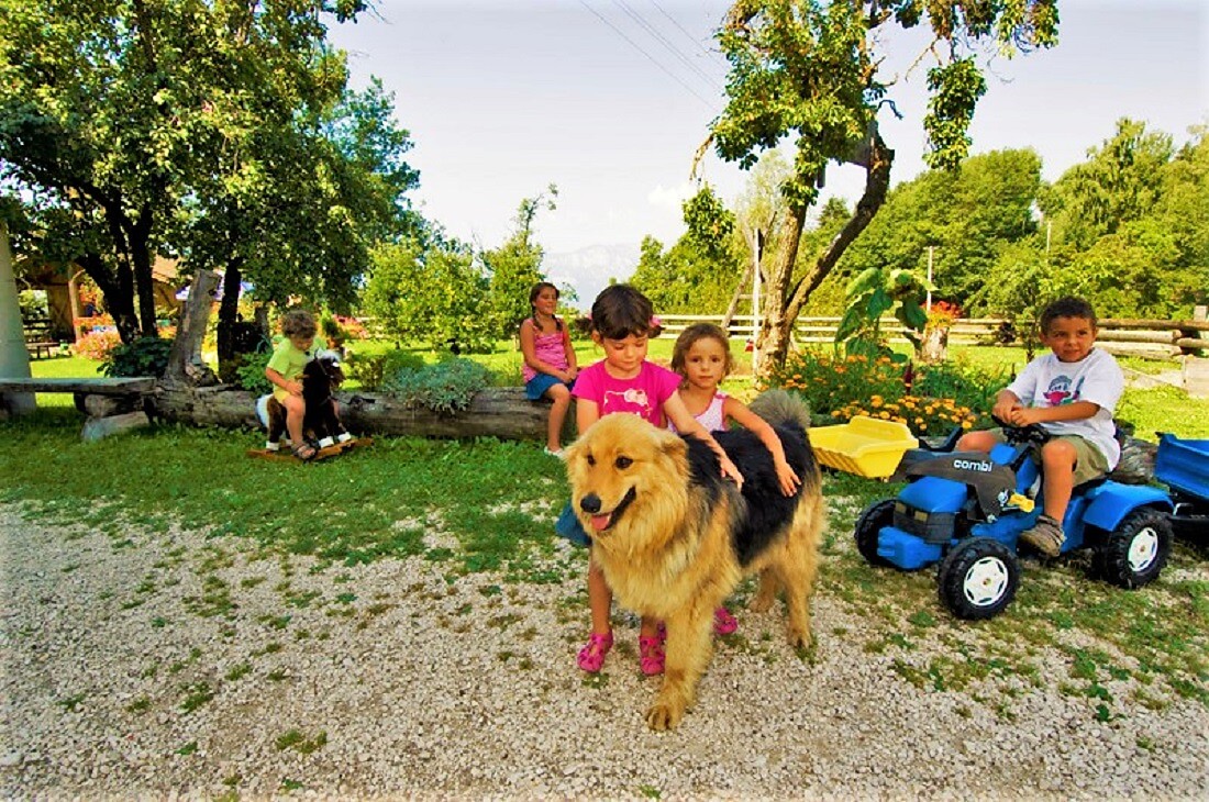 Wolfi, the dog is playing with the kids