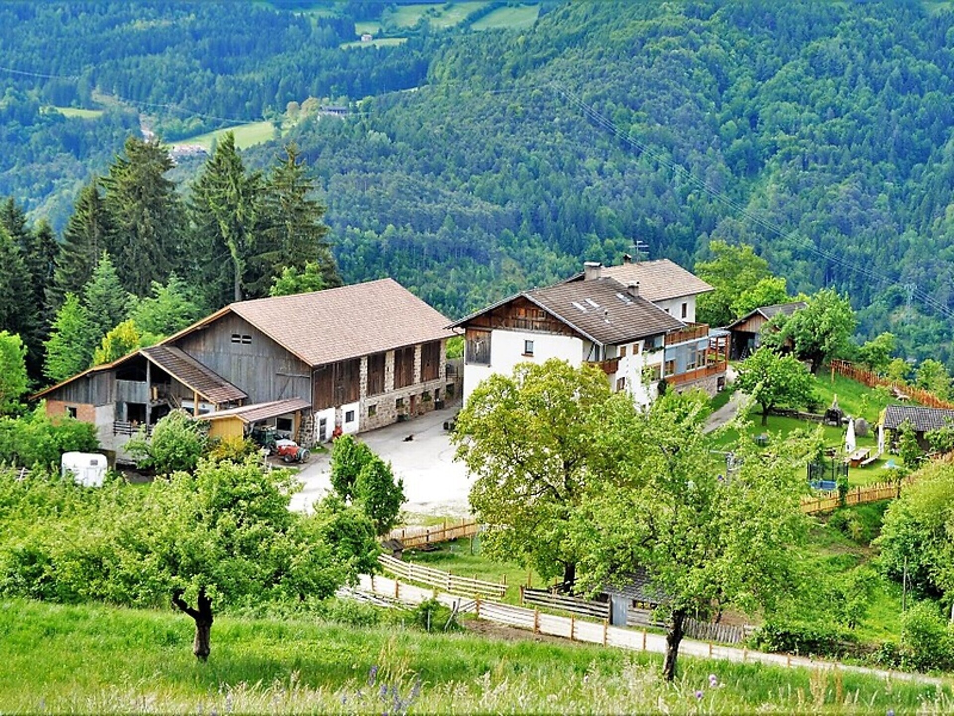 Affittacamere Koflhof -  - #1 - suedtirol.info
