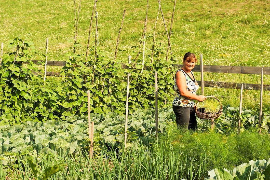Affittacamere Koflhof Aldino 12 suedtirol.info