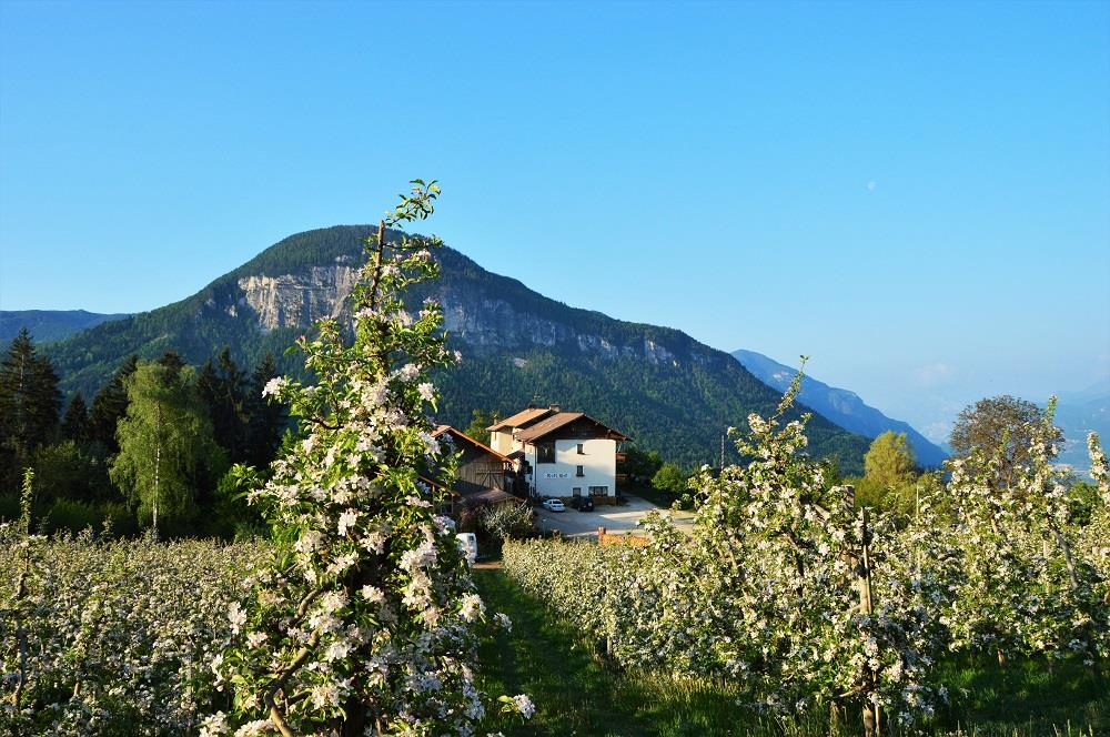 Affittacamere Koflhof Aldino 4 suedtirol.info