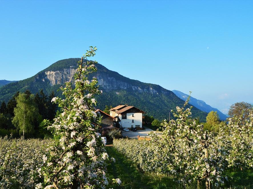 Affittacamere Koflhof Aldino 2 suedtirol.info