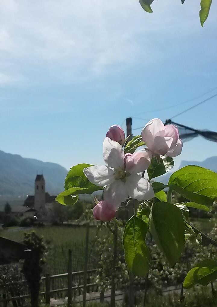 Zieglerhof - Merano e dintorni - #3 - suedtirol.info
