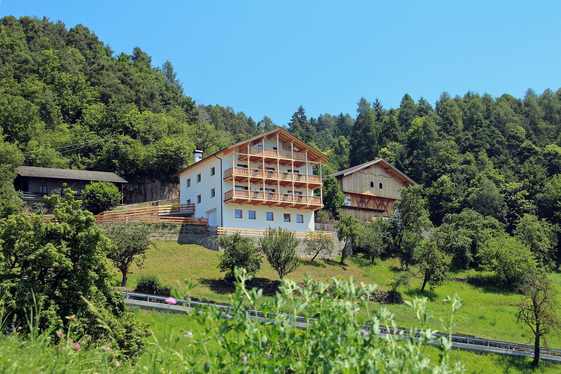 Zolthof - Dolomitenregion Seiser Alm - #1 - suedtirol.info