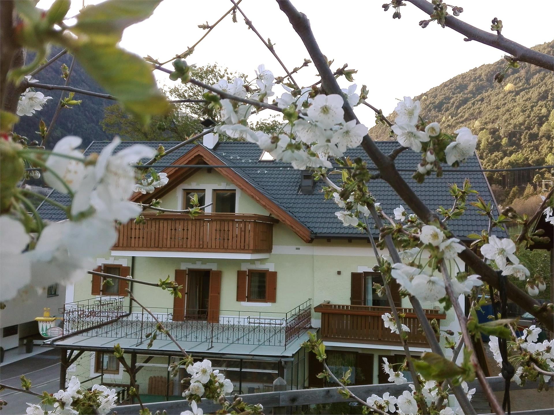 Zum Lindenwirt Natz-Schabs 1 suedtirol.info