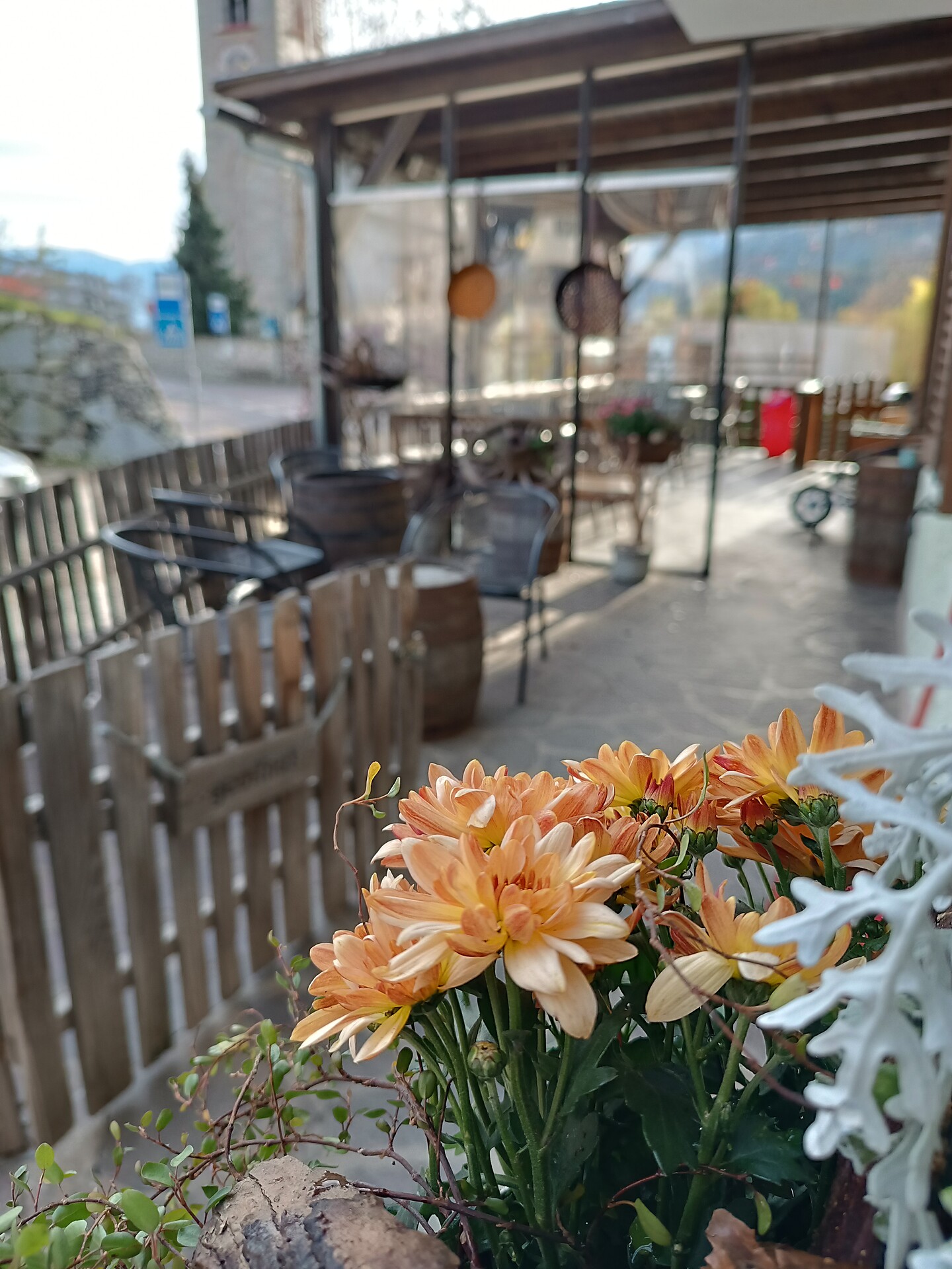TERASSE BAR