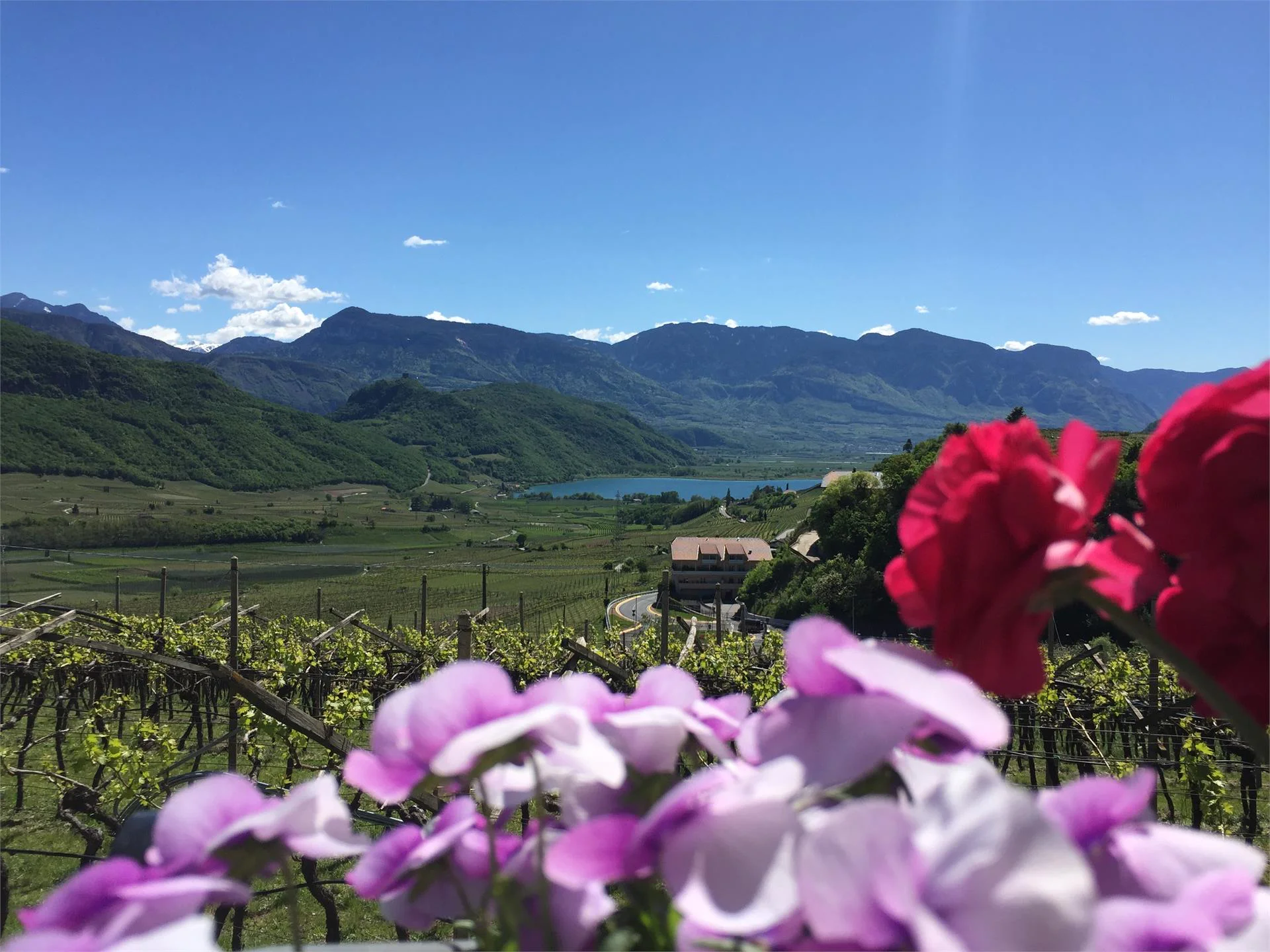 Zukallhof Caldaro sulla Strada del Vino 11 suedtirol.info