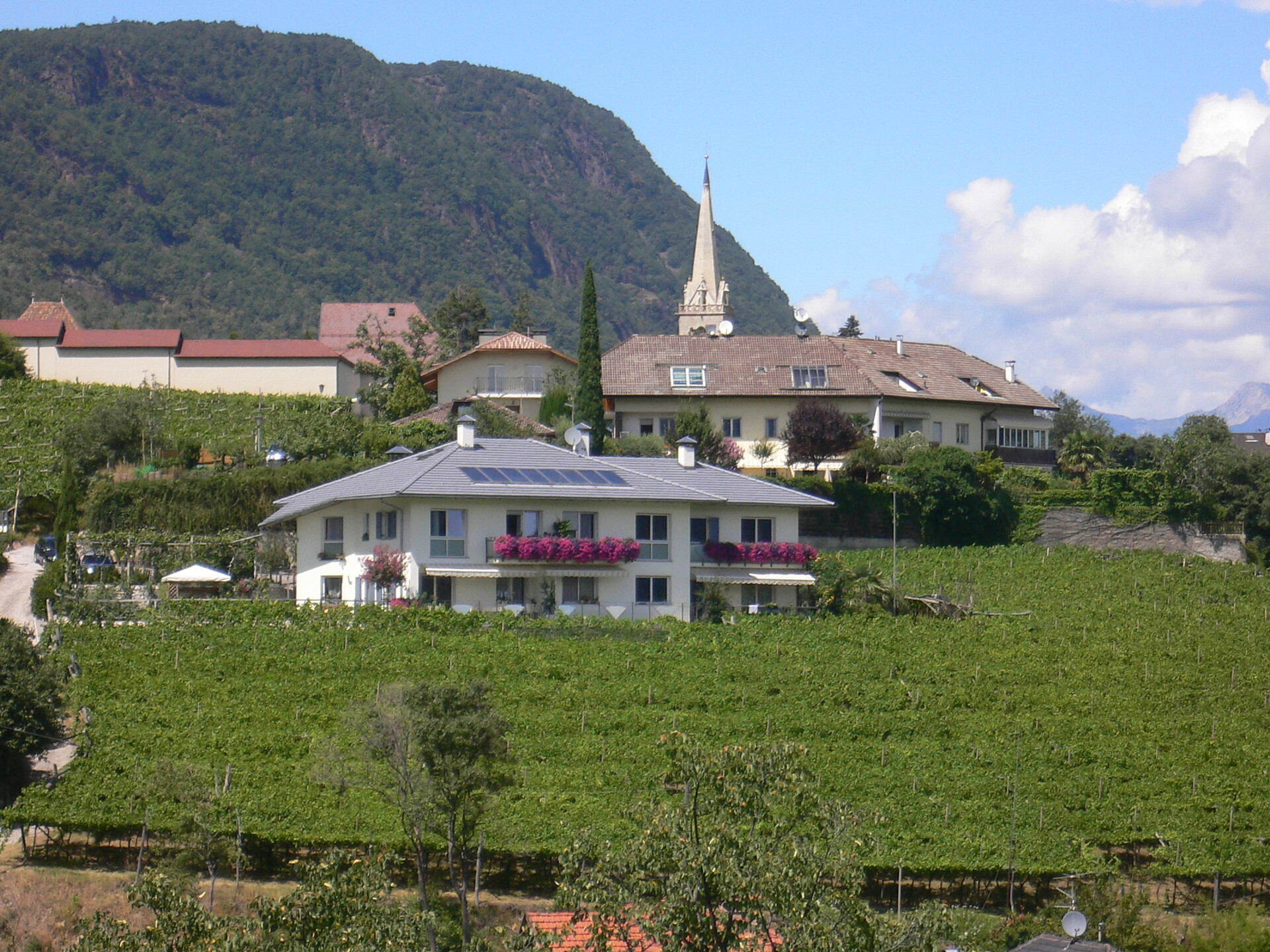 Posizione centrale nel verde