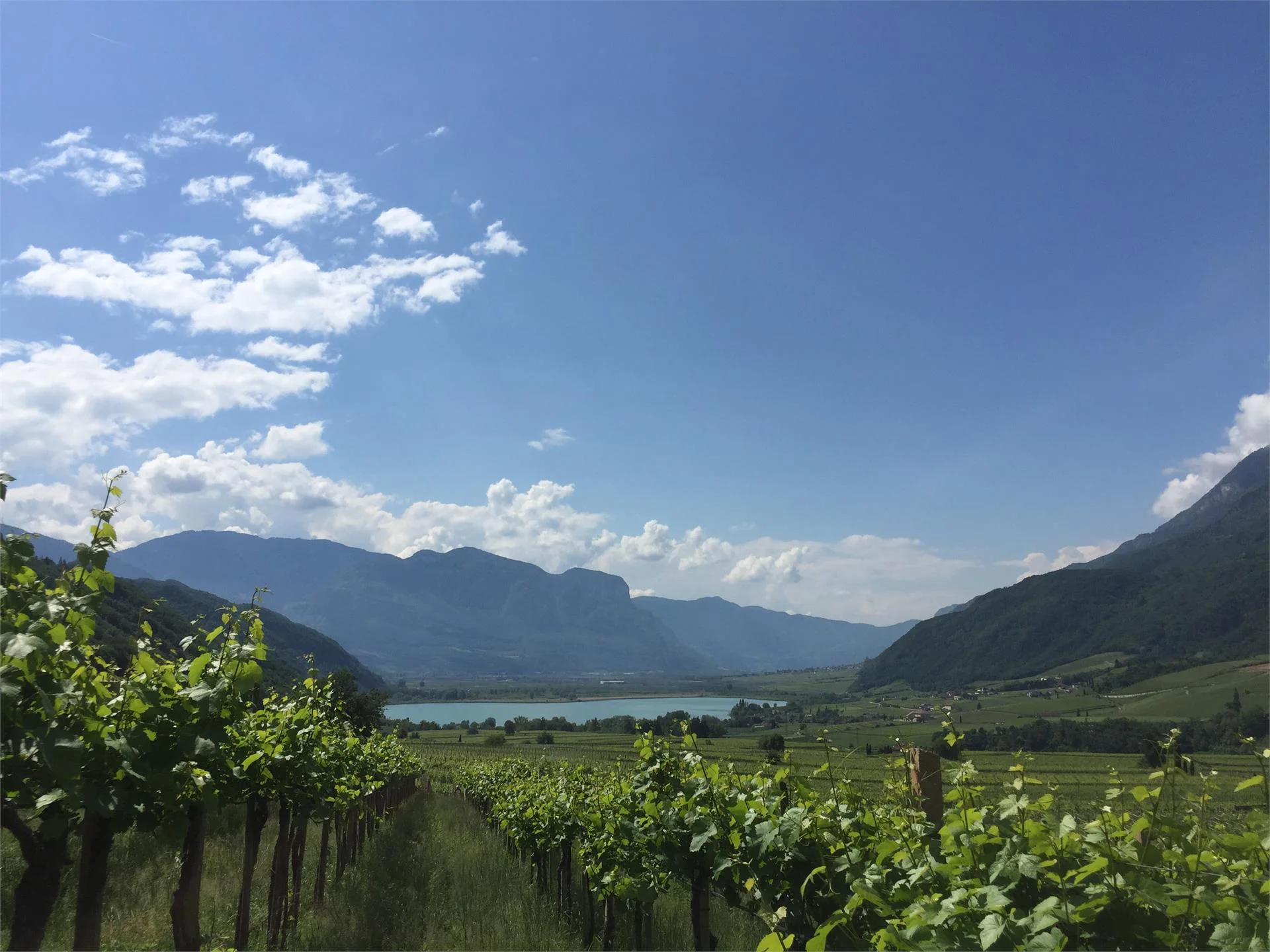 Zukallhof Caldaro sulla Strada del Vino 14 suedtirol.info