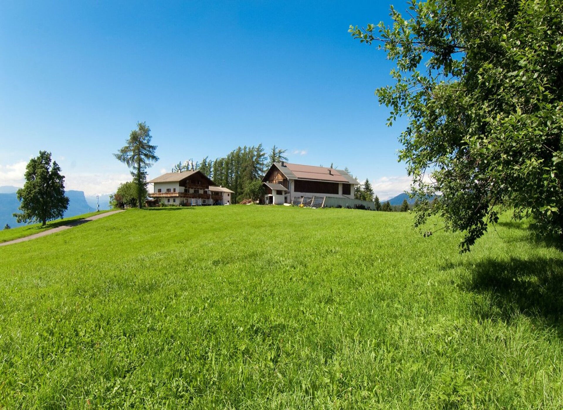 Affittacamere Mösslerhof -  - #2 - suedtirol.info