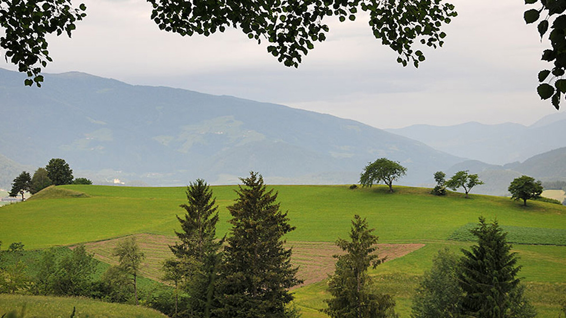 Zangerlechnhof