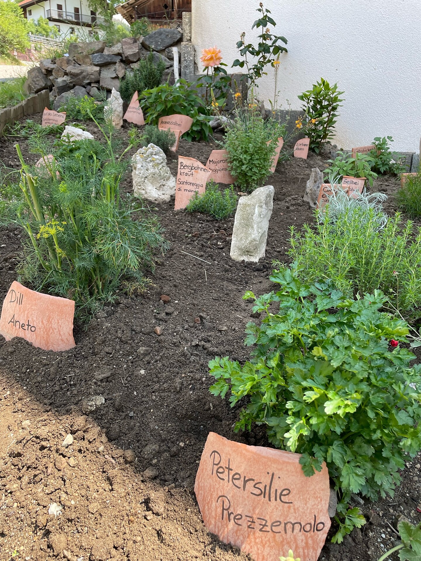 giardino delle erbe aromatiche