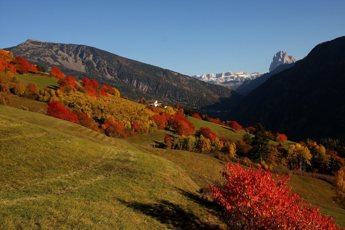 Zehentnerhof TANIRZ Lajen 13 suedtirol.info