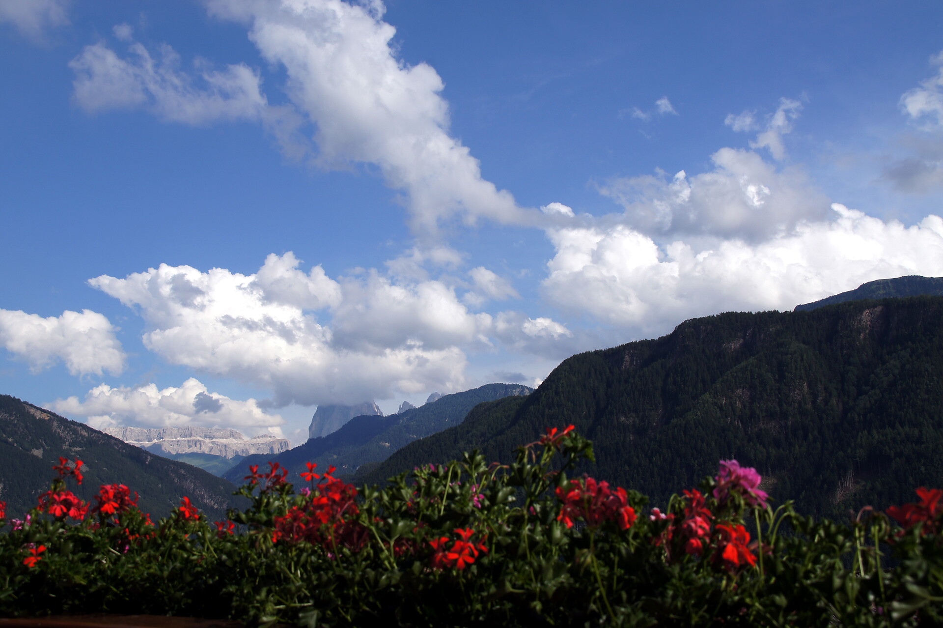 Zehentnerhof TANIRZ Lajen 4 suedtirol.info