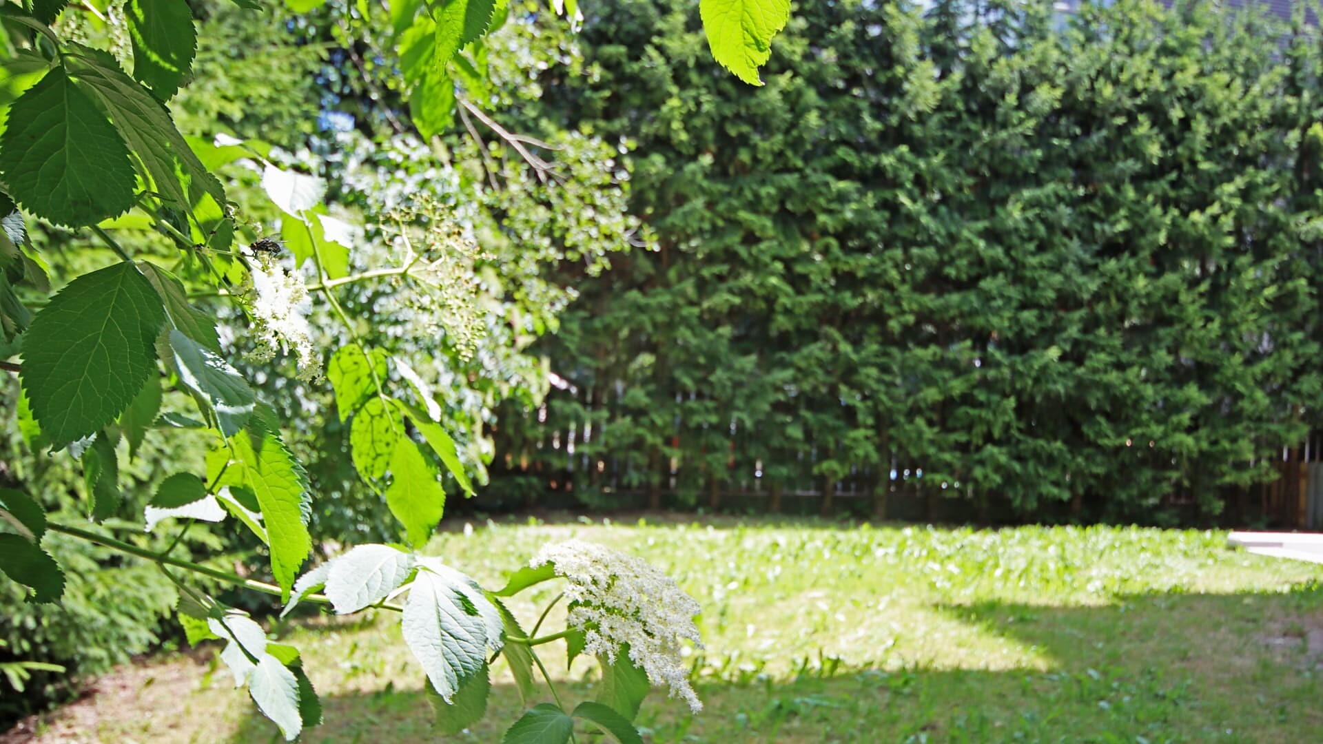 appartamento Appartement 170 - San Candido - #5 - Aurturist - Regione dolomitica 3 Cime - suedtirol.info