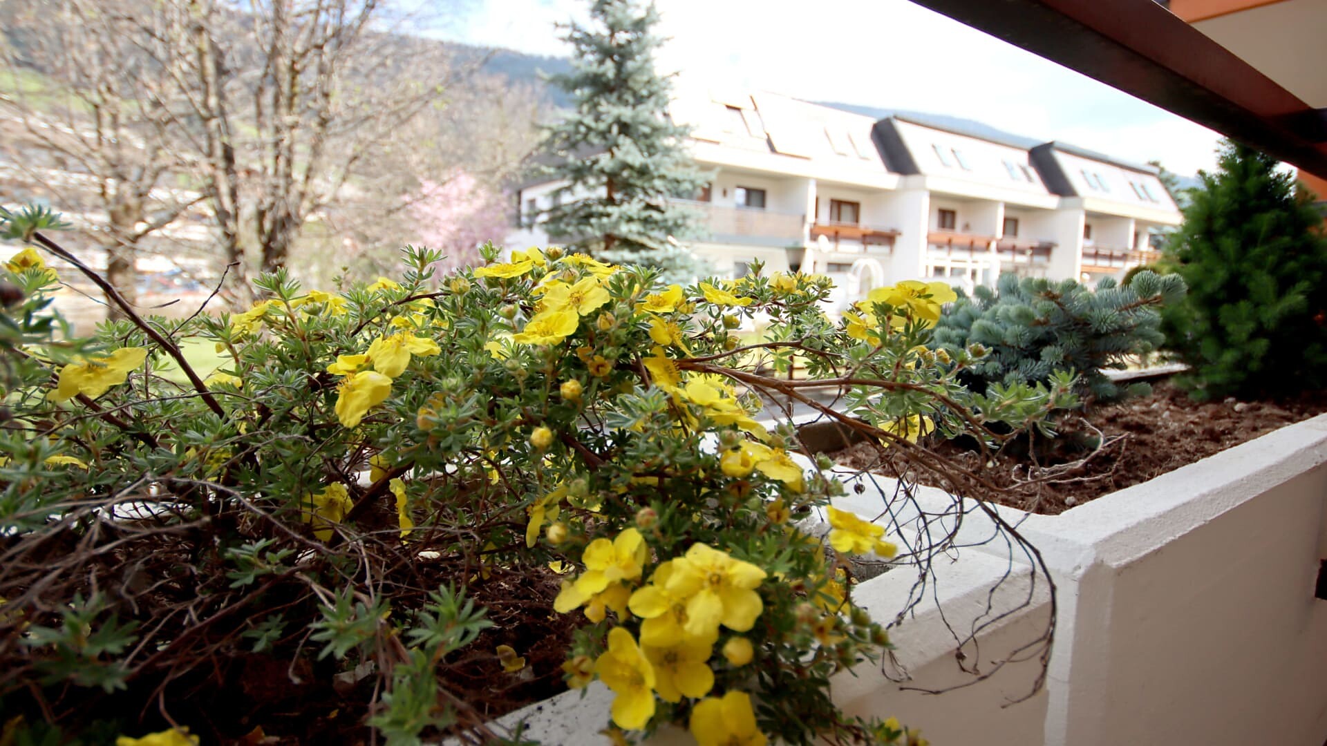 appartamento Appartement 168 - San Candido - #4 - Aurturist - Regione dolomitica 3 Cime - suedtirol.info