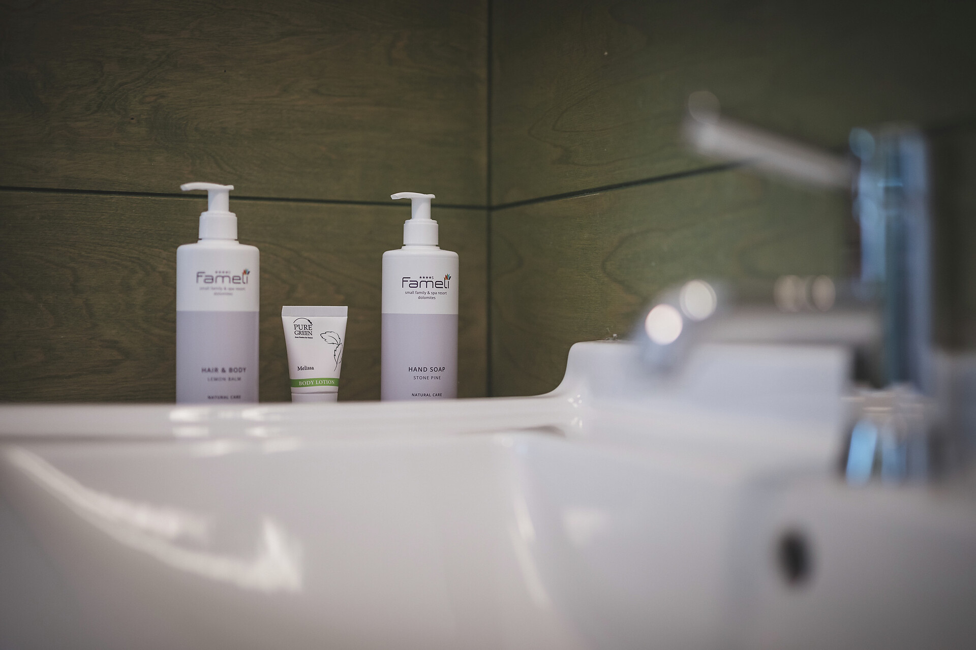 appartamento Fameli Dolce Vita Apartement - #5 - Fameli - Regione dolomitica Plan de Corones - suedtirol.info