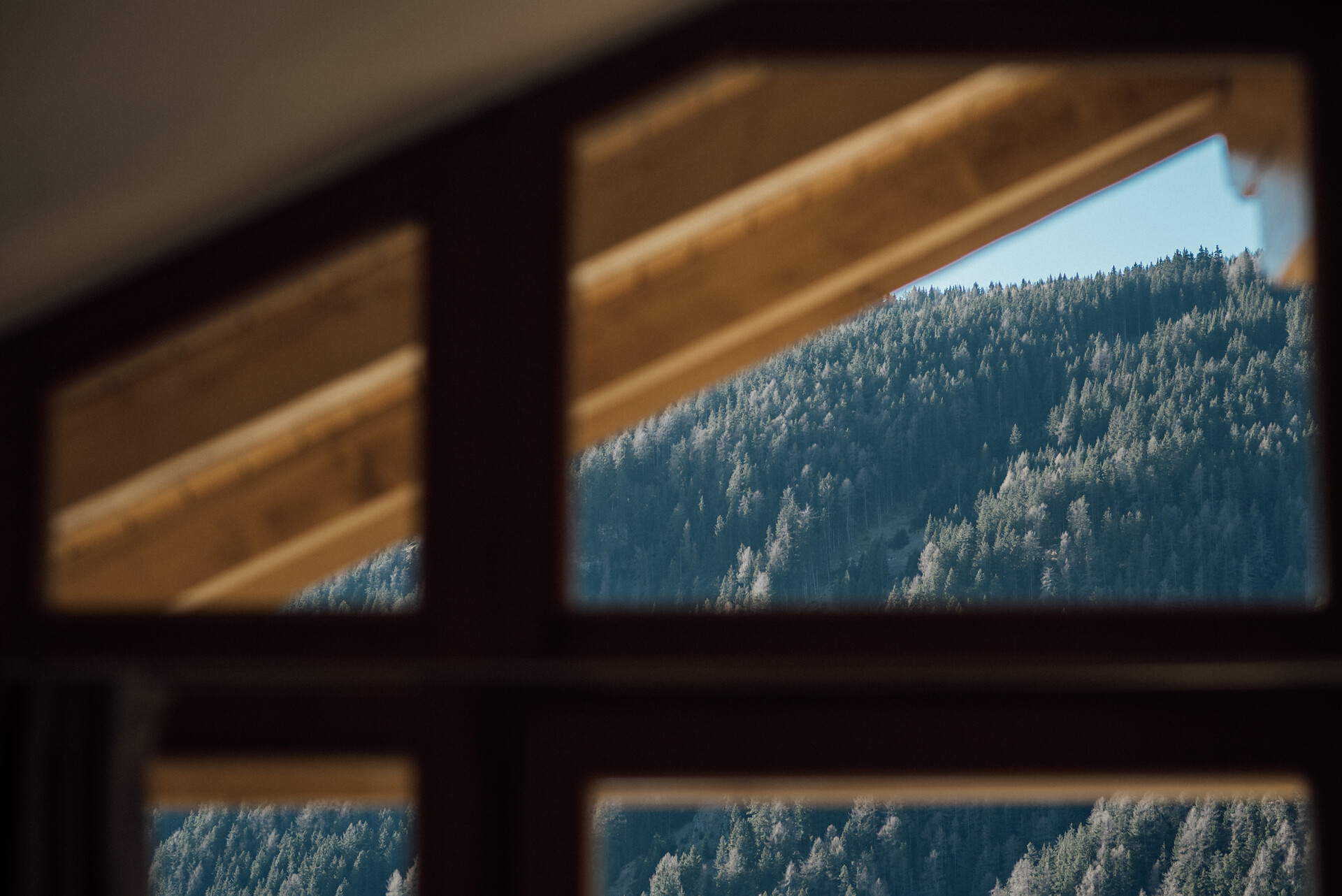 Room Abis View - #4 - Hotel Valserhof - Brixen/Bressanone and environs - suedtirol.info