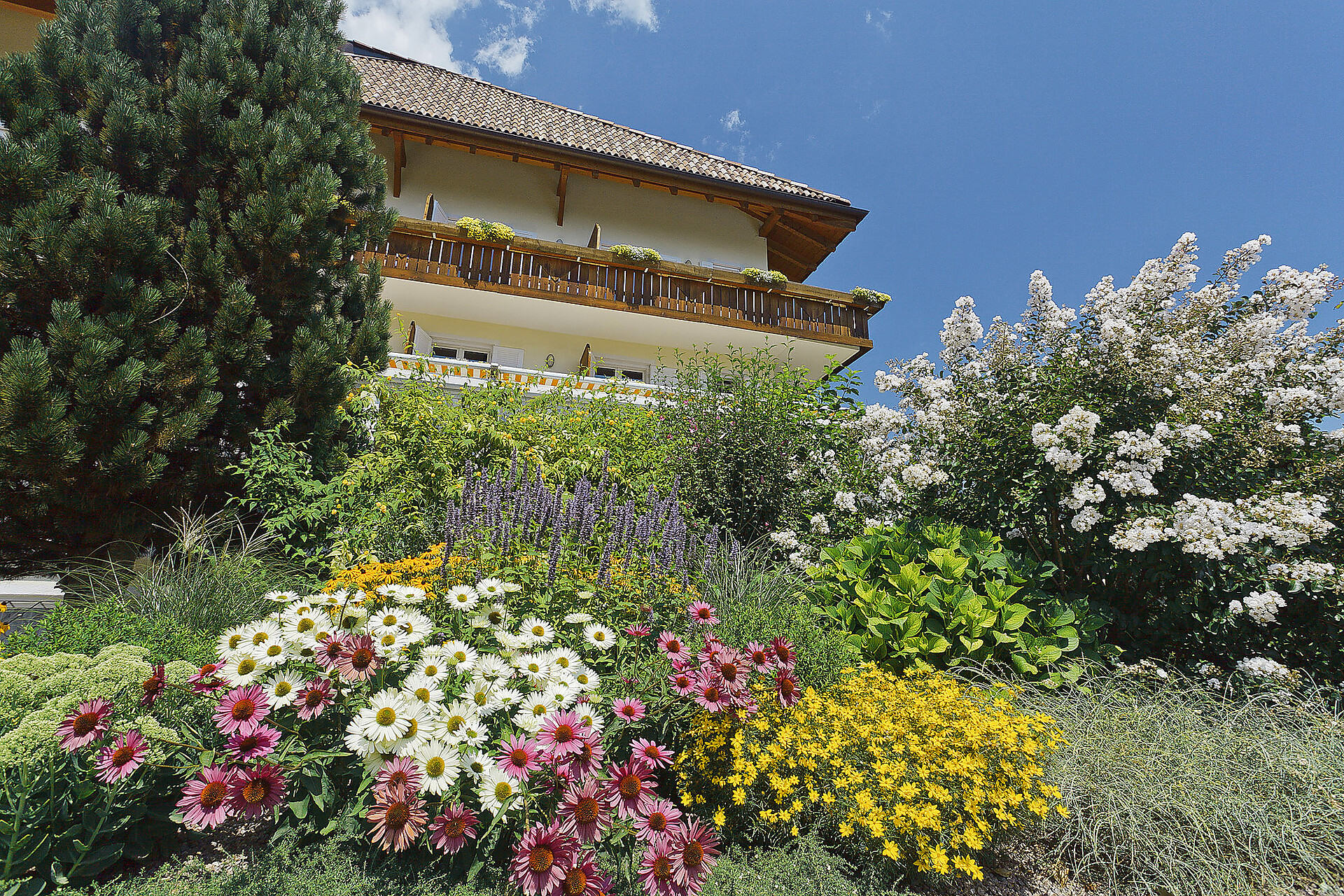 camera Camera singola senza balcone - #1 - Garni Paradies - Merano e dintorni - suedtirol.info