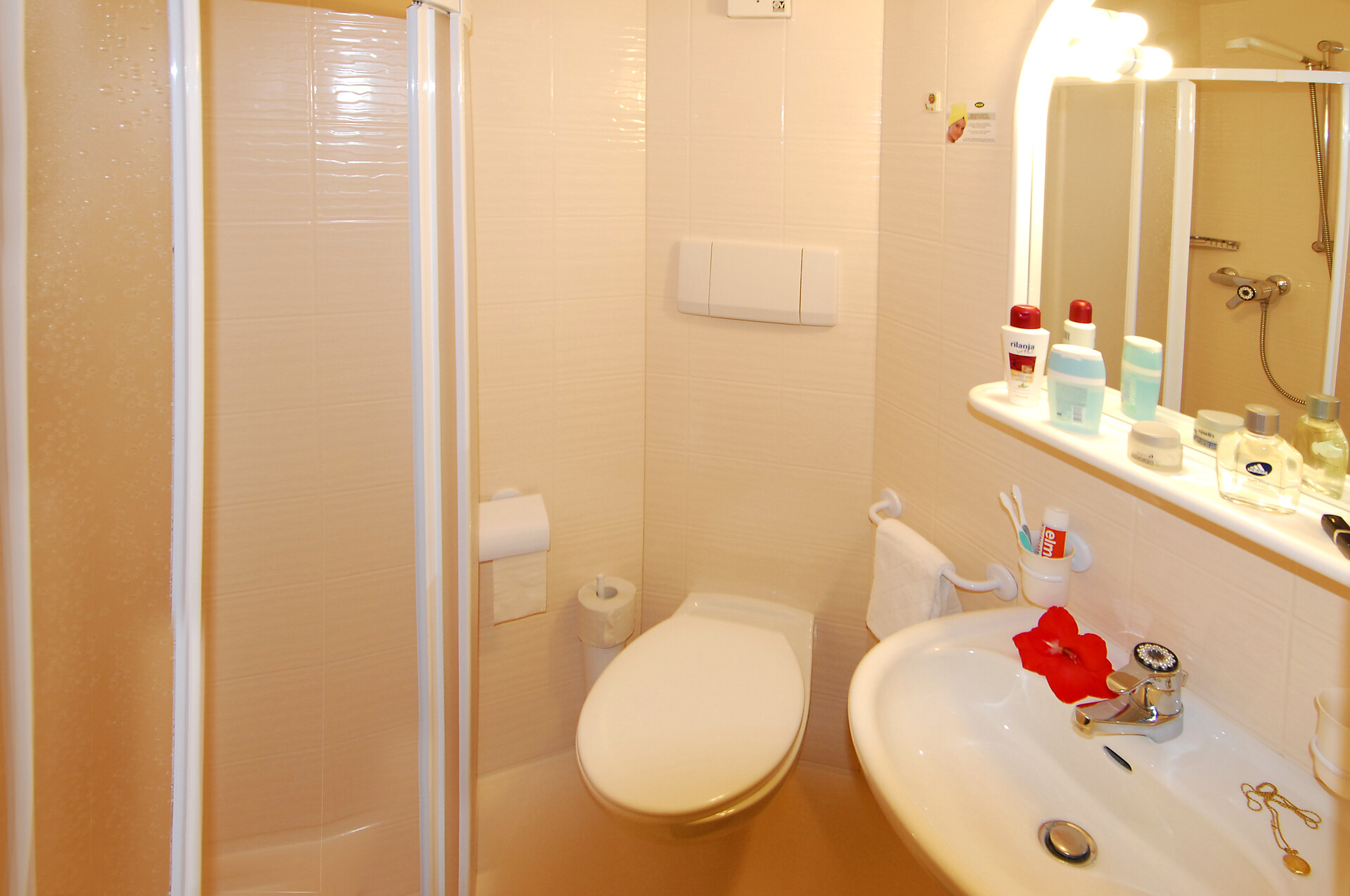 Apartment Apartments "Talblick I" 2 people - #4 - Alpenrose - Vinschgau/Val Venosta - suedtirol.info