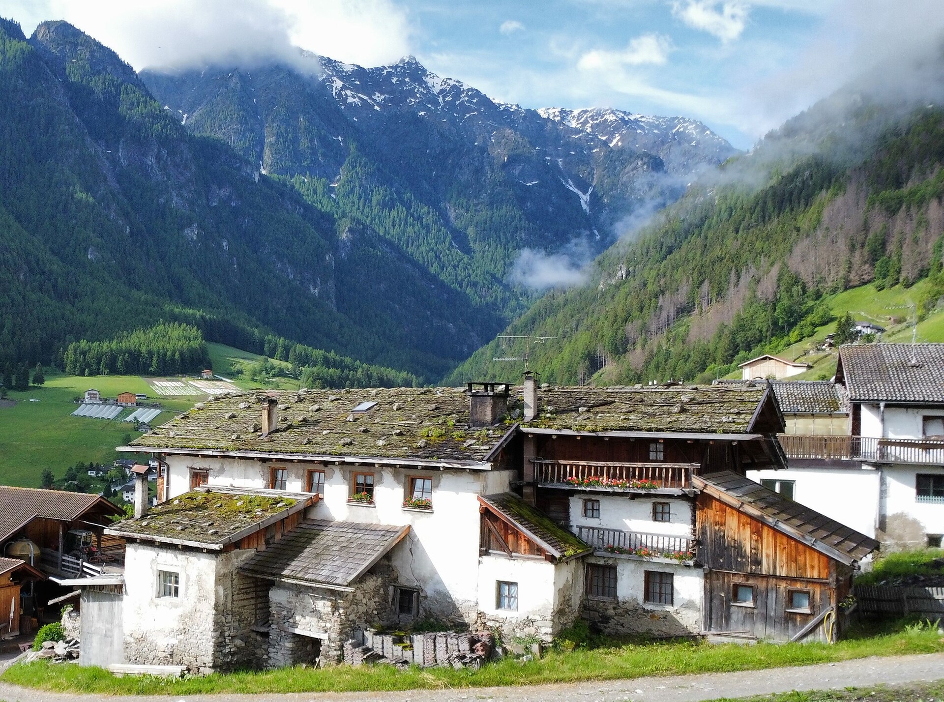 Apartment Apartment "Talblick III" 4 people - #6 - Alpenrose - Vinschgau/Val Venosta - suedtirol.info