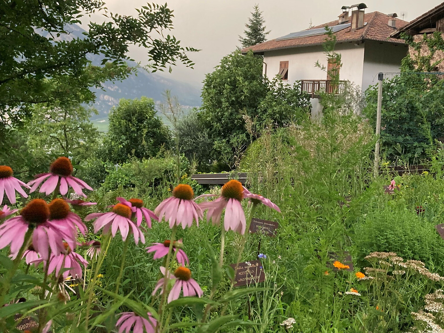 Apericena al maso - Alto Adige Wine Road - #1 - suedtirol.info