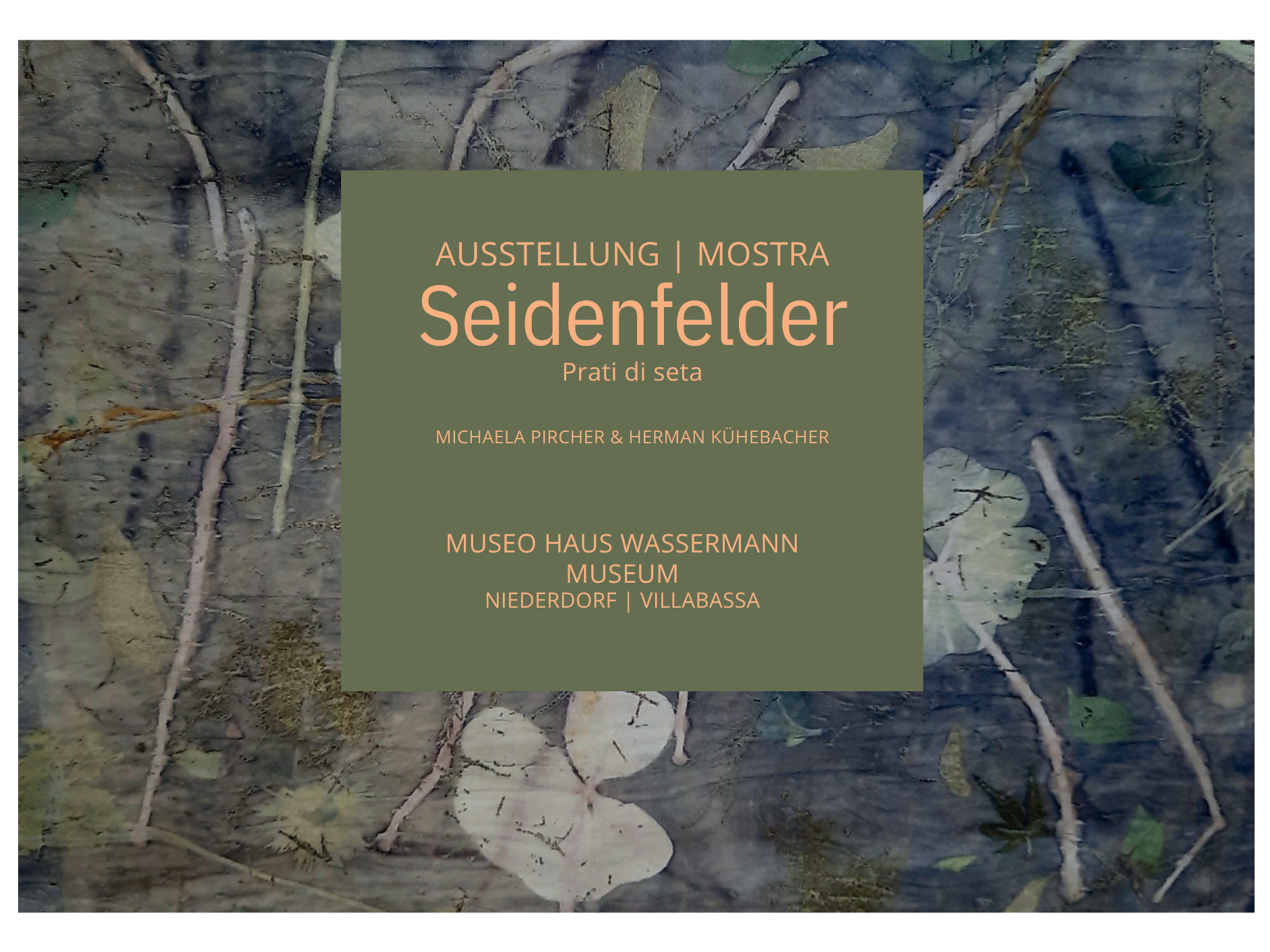 Mostra: prati di seta - Regione dolomitica 3 Cime - #1 - suedtirol.info