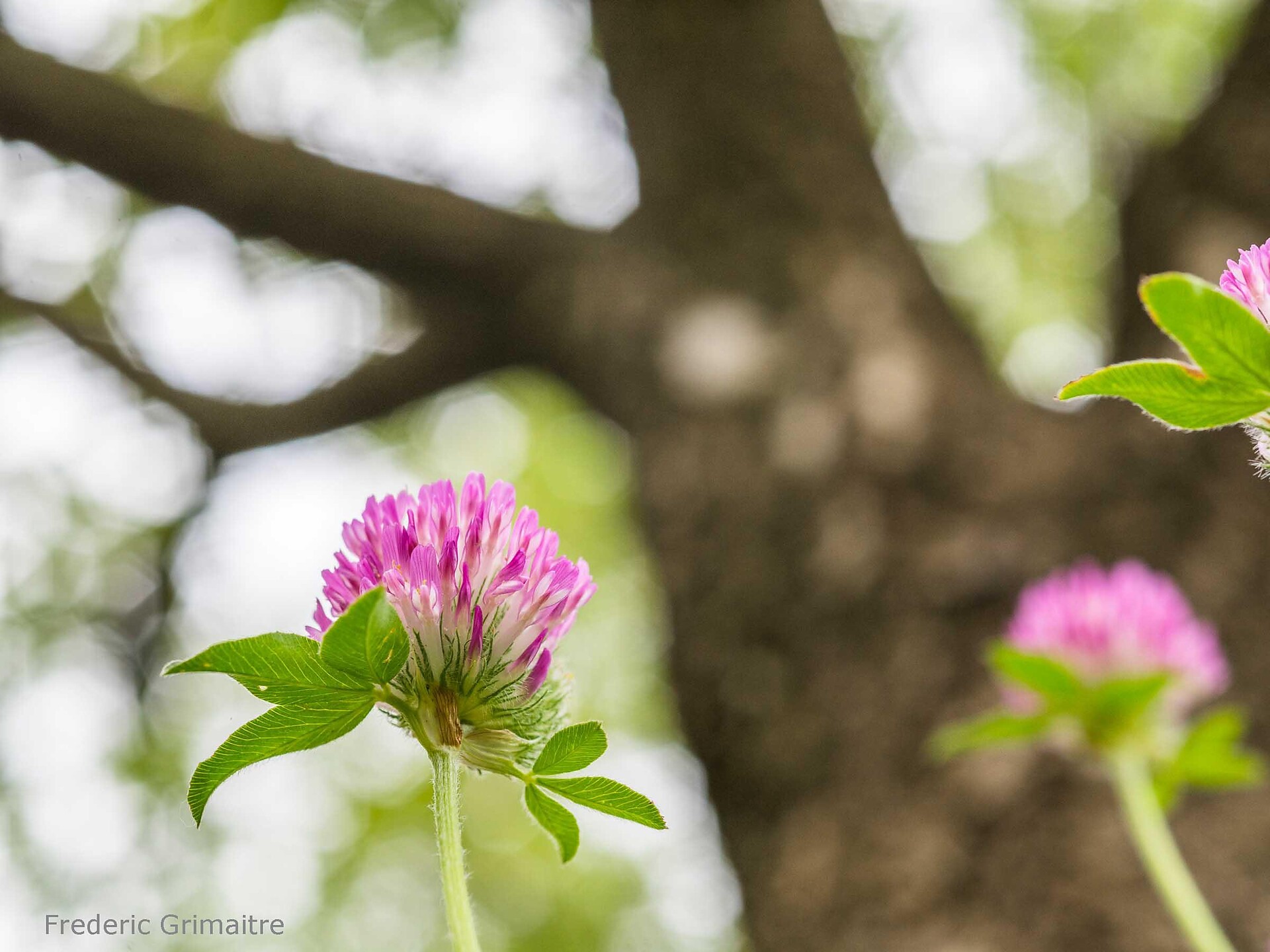 Abenteuer Natur für die Familie - Draußen unterwegs und gemeinsam entdecken - Meran und Umgebung - #3 - suedtirol.info