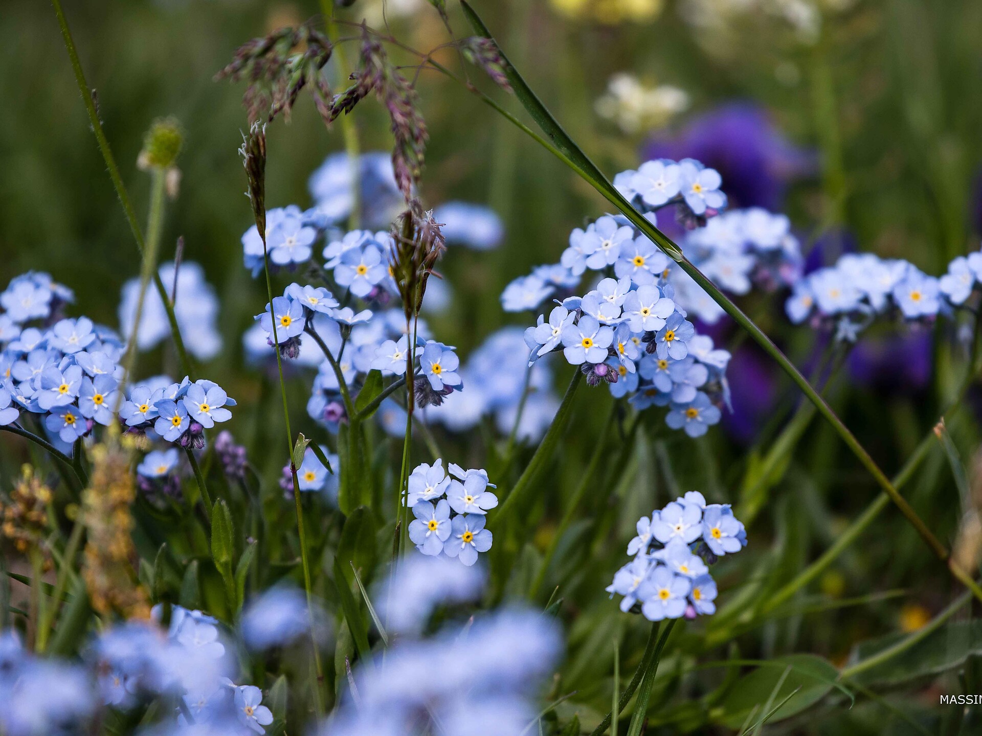 Abenteuer Natur für die Familie - Draußen unterwegs und gemeinsam entdecken - Meran und Umgebung - #2 - suedtirol.info
