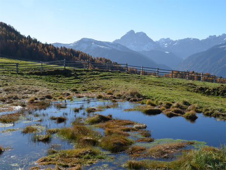 Sagra sulle Malghe delle Alpe di Rodengo-Luson Chienes 2 suedtirol.info