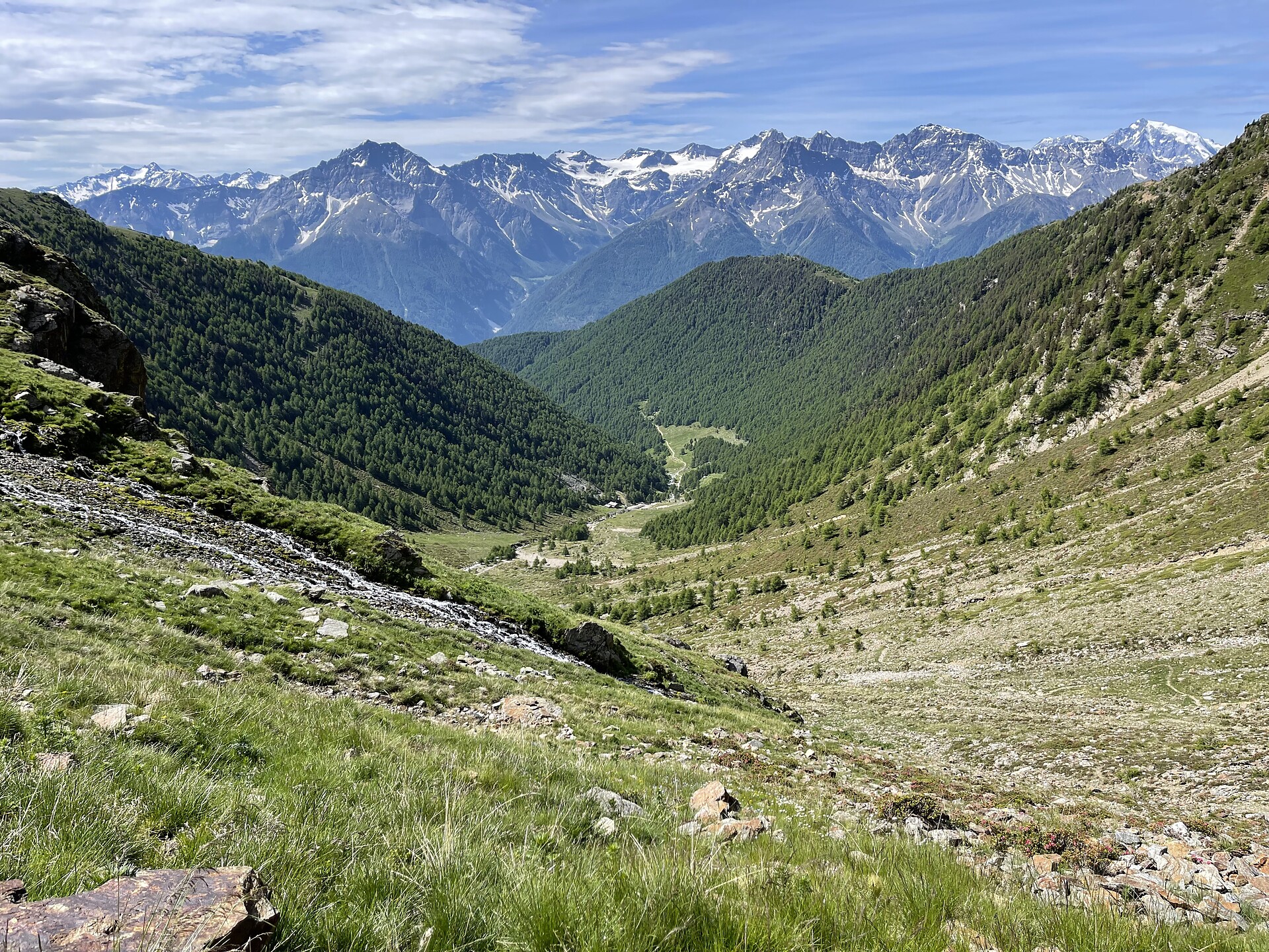 Aussicht genießen – Wanderung zum Rauschegg im Allitzer Tal - Vinschgau - #1 - suedtirol.info