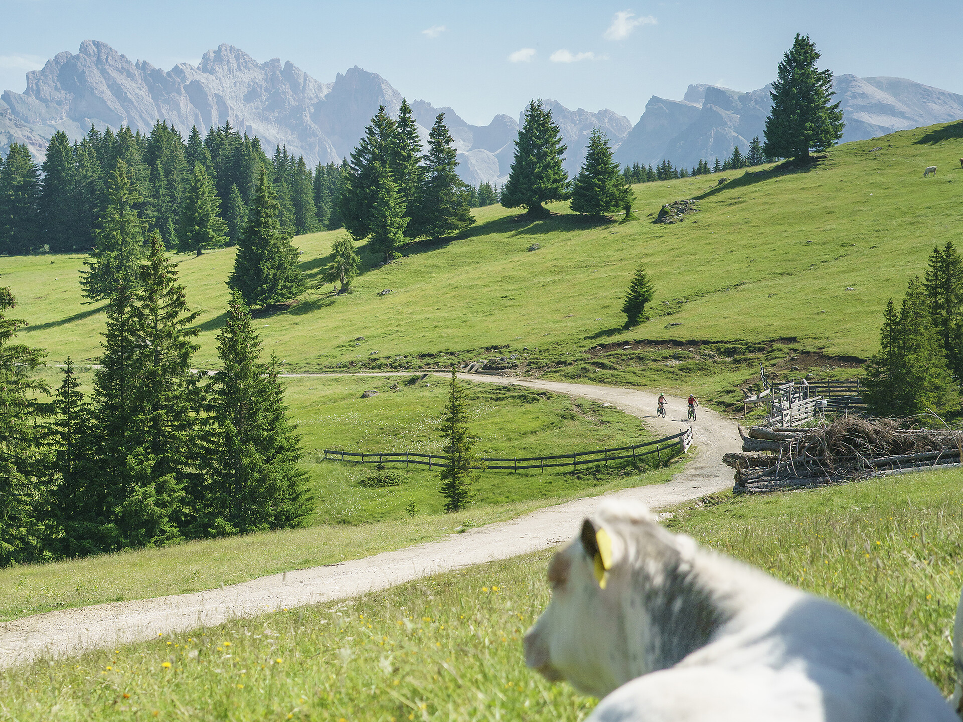 Alpenzauber: Entdecke unberührte Landschaften auf dem Weg zur Seiser Alm - Dolomitenregion Gröden - #1 - suedtirol.info
