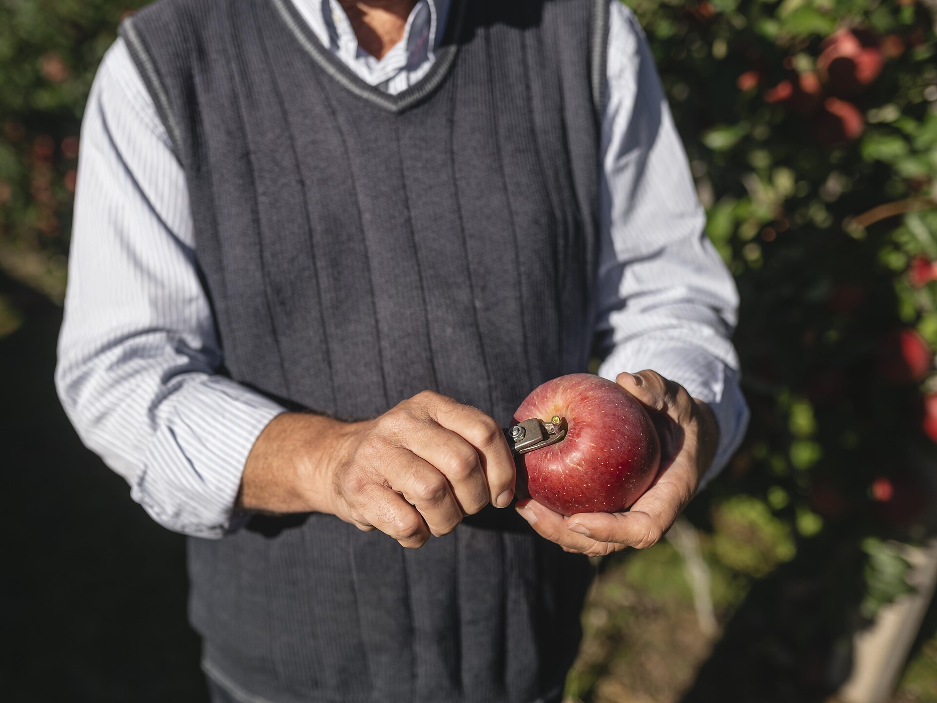 Guida ai frutteti con degustazione di mele a Lana Lana 2 suedtirol.info