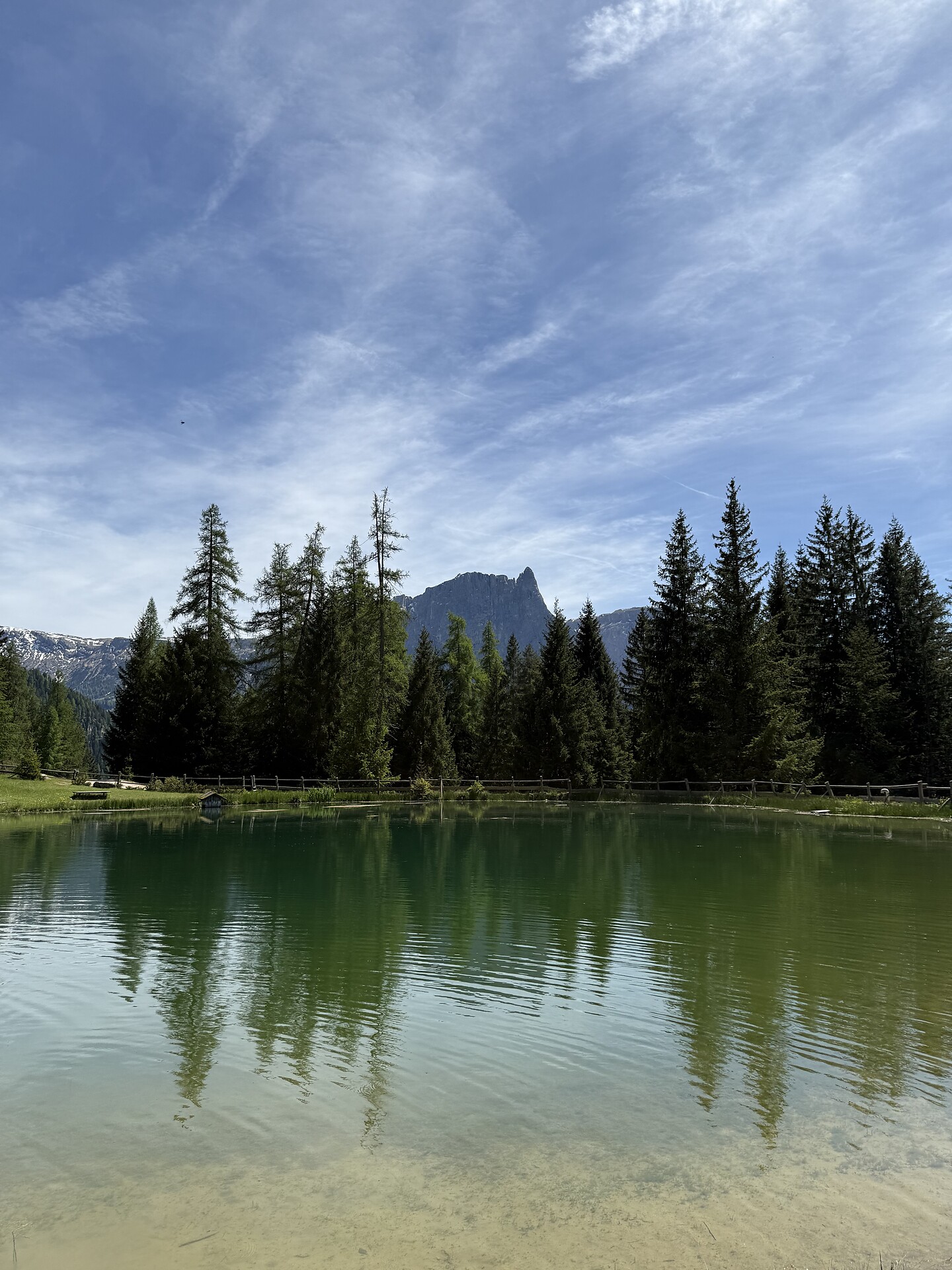 Alpe & paese: All’alpe Marinzen -  - #1 - suedtirol.info