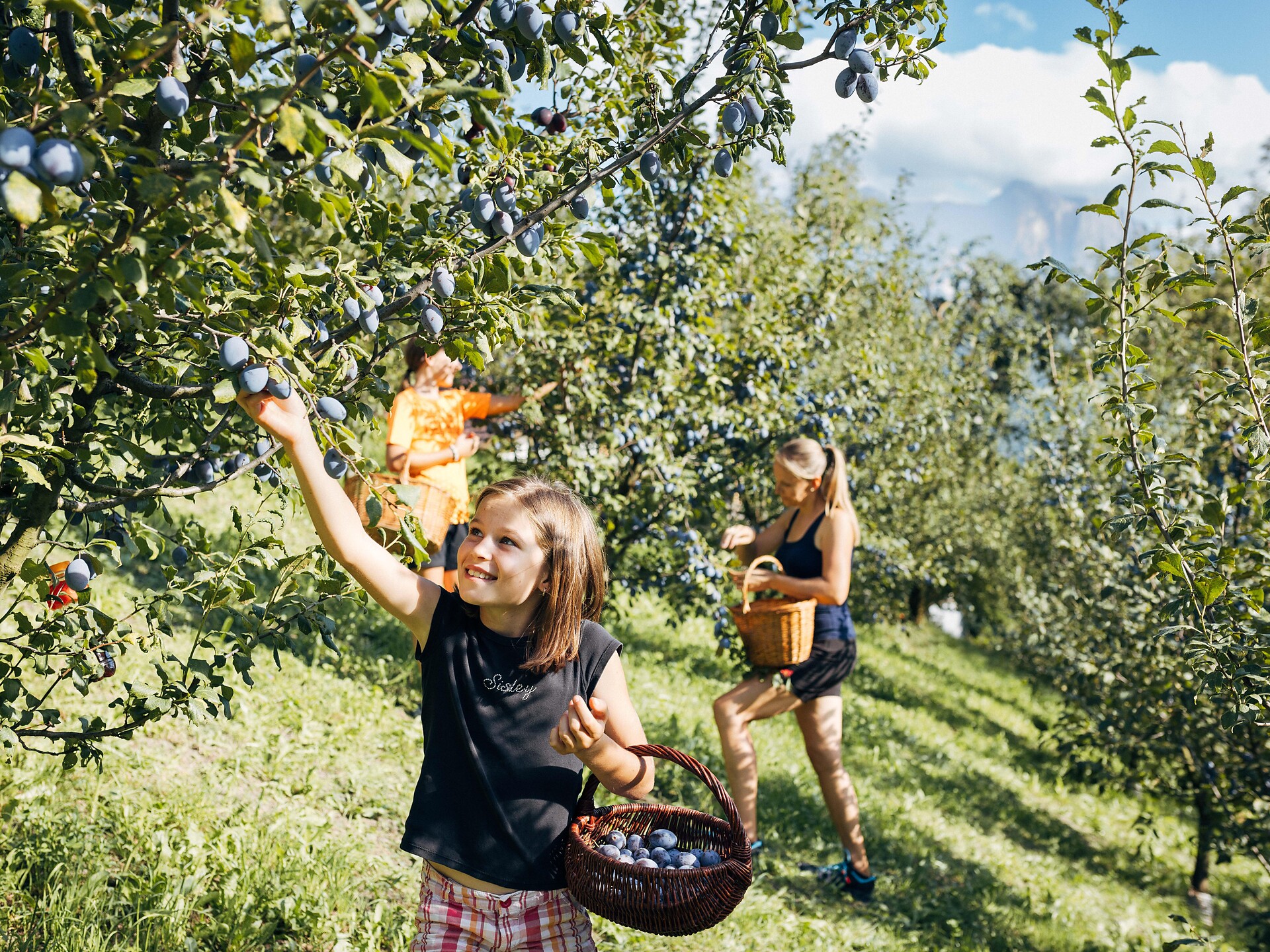 Escursione guidata all'insegna delle prugne con sosta al "Saubacherhof" Barbiano 1 suedtirol.info