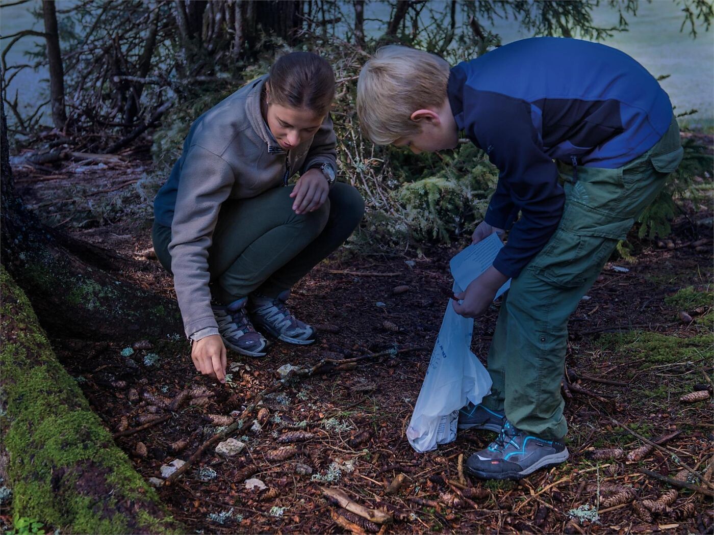 Avventura serale in famiglia: chi vive e si nasconde nel bosco? - Regione dolomitica Val Gardena - #1 - suedtirol.info