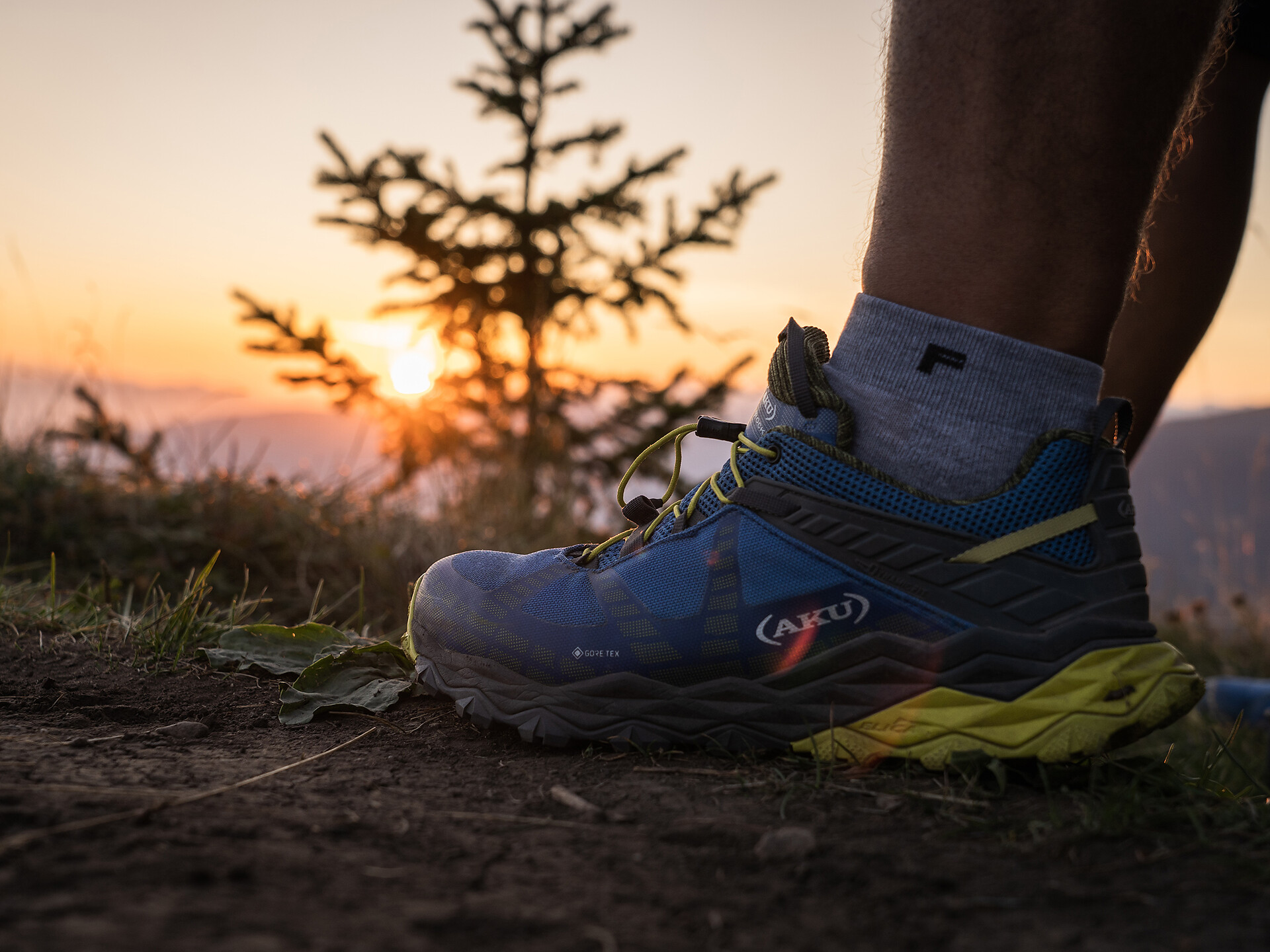 Avventura serale in famiglia: chi vive e si nasconde nel bosco? - Regione dolomitica Val Gardena - #2 - suedtirol.info