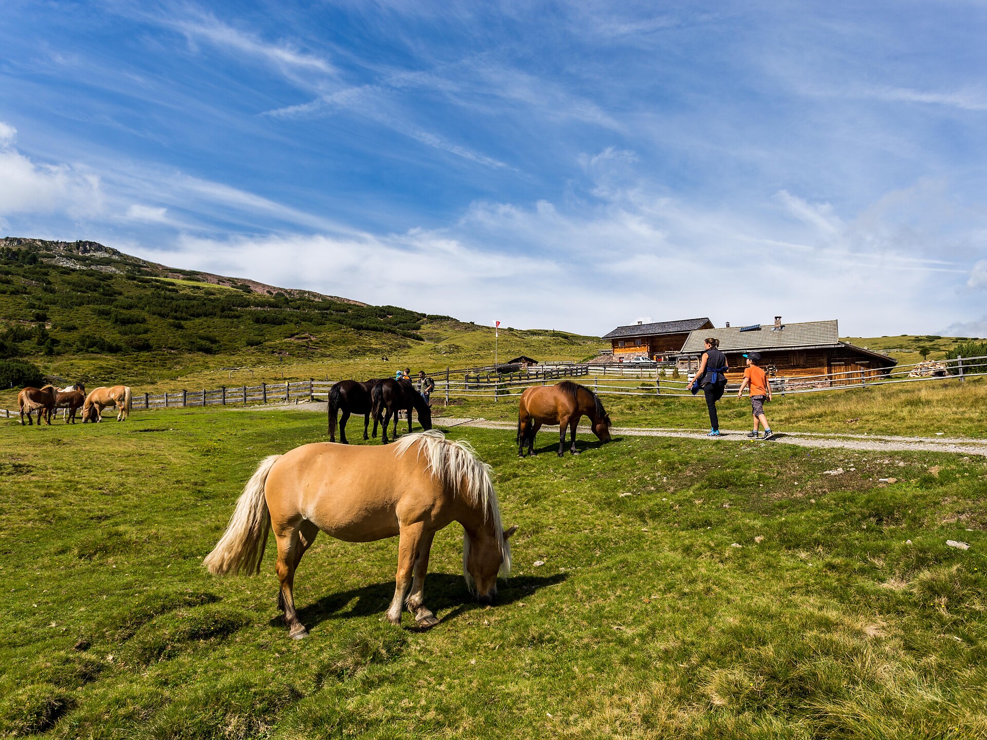 Roundtrip with a minibus to the parking lot Huber Kreuz/alpe di Barbiano - Brixen/Bressanone and environs - #1 - suedtirol.info