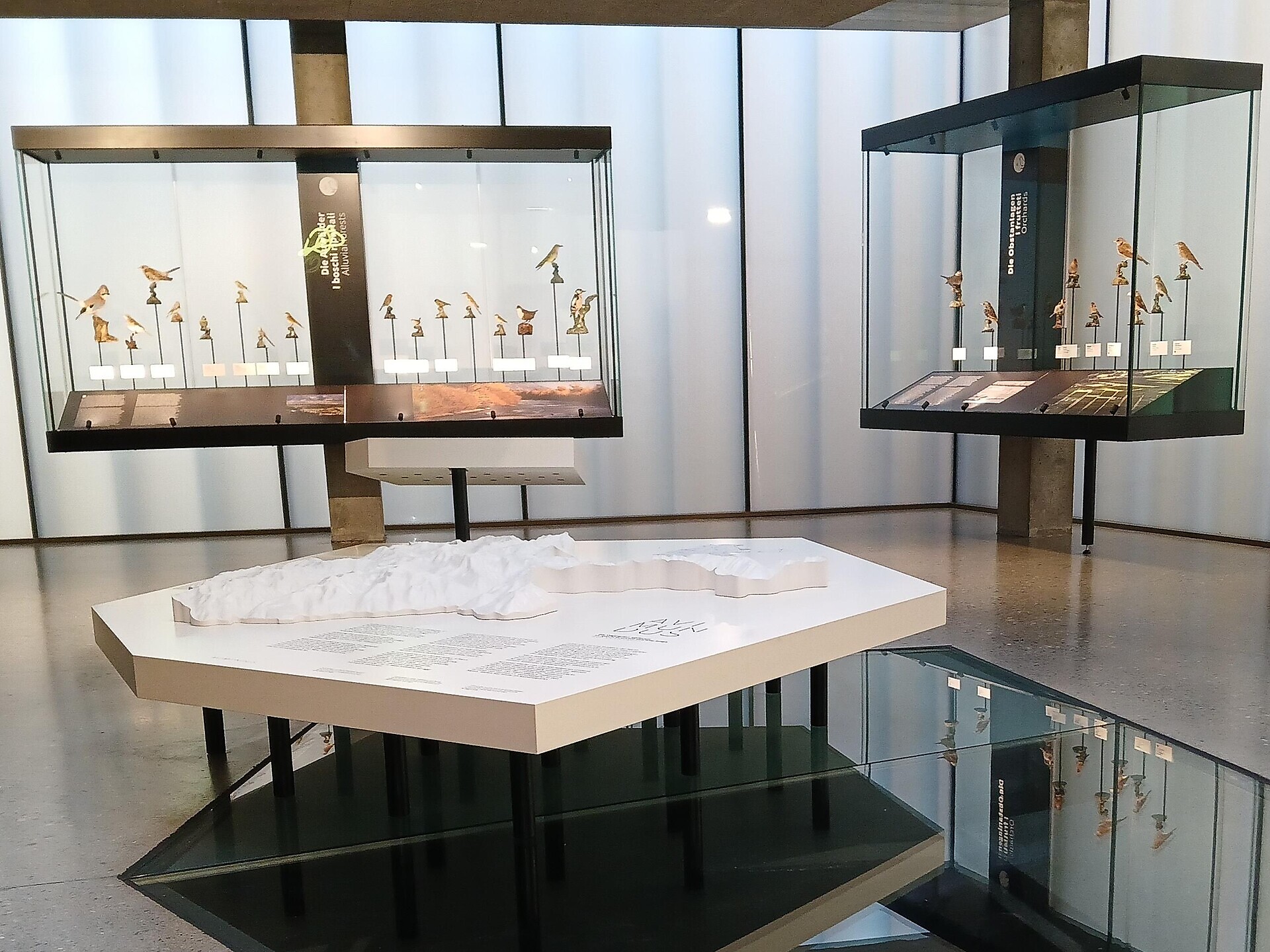 avimundus - giornata delle porte aperte - Val Venosta - #2 - suedtirol.info