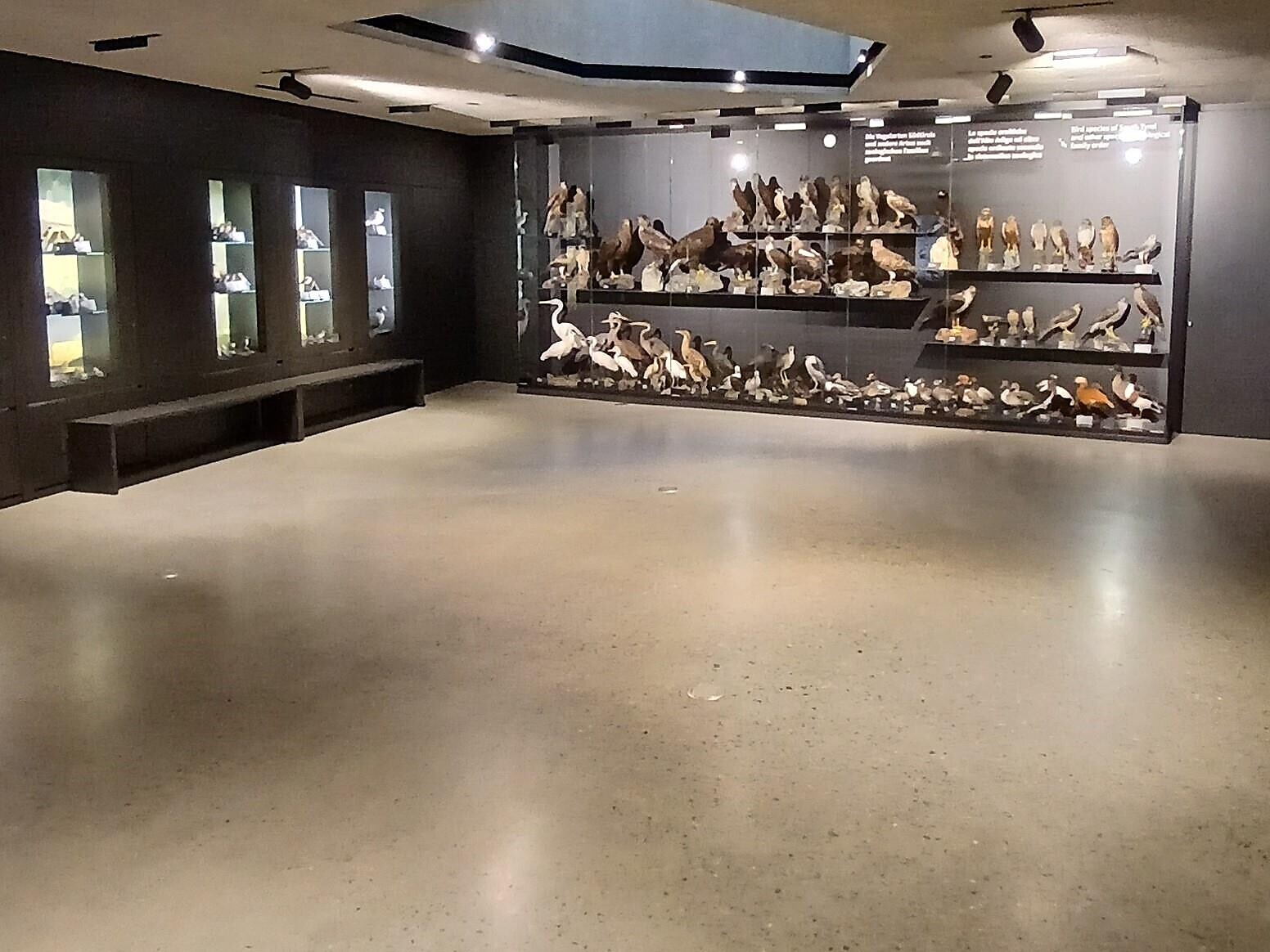 avimundus - giornata delle porte aperte - Val Venosta - #3 - suedtirol.info